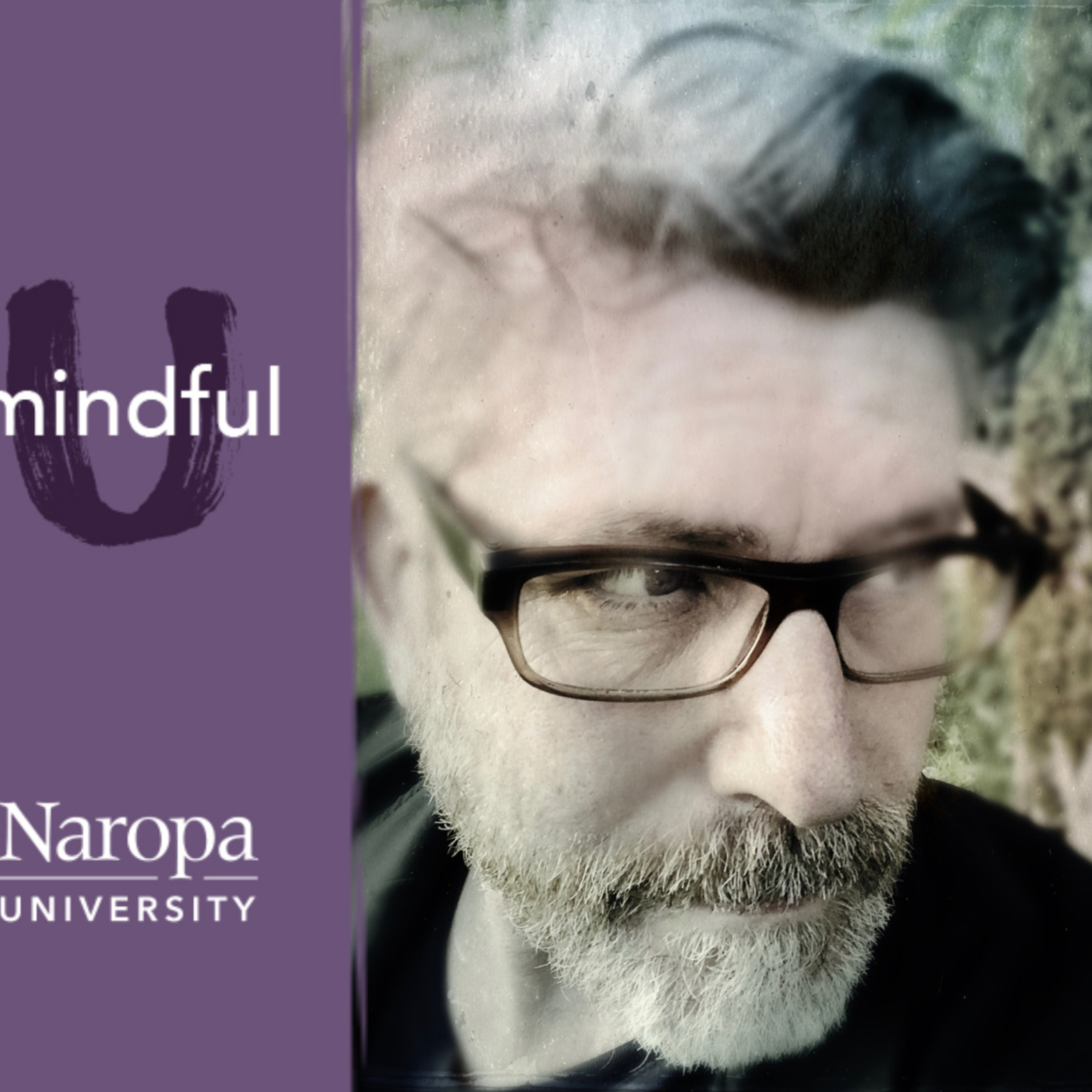 108. The Path and Craft of Fiction Writing episode artwork