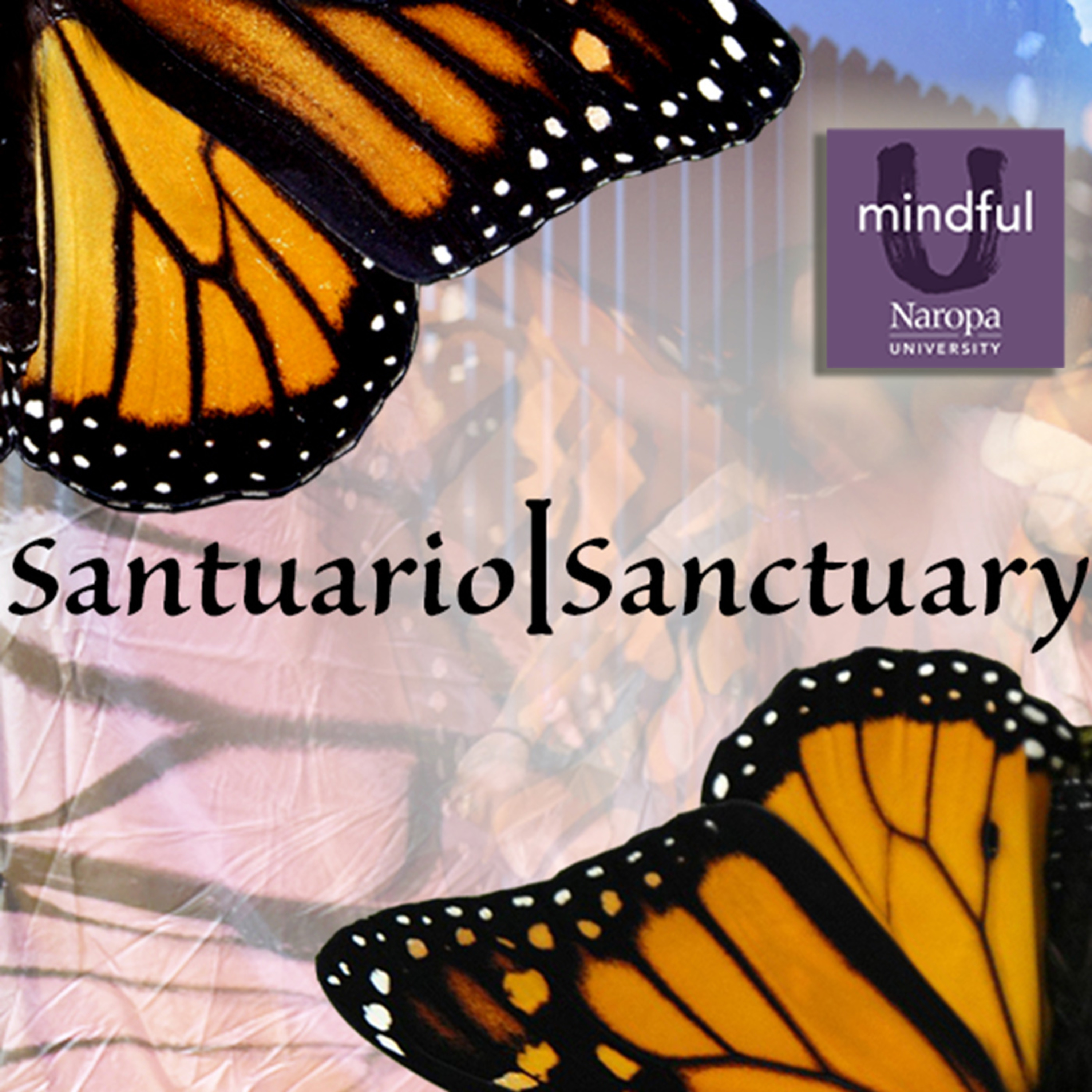 Mindful U at Naropa University