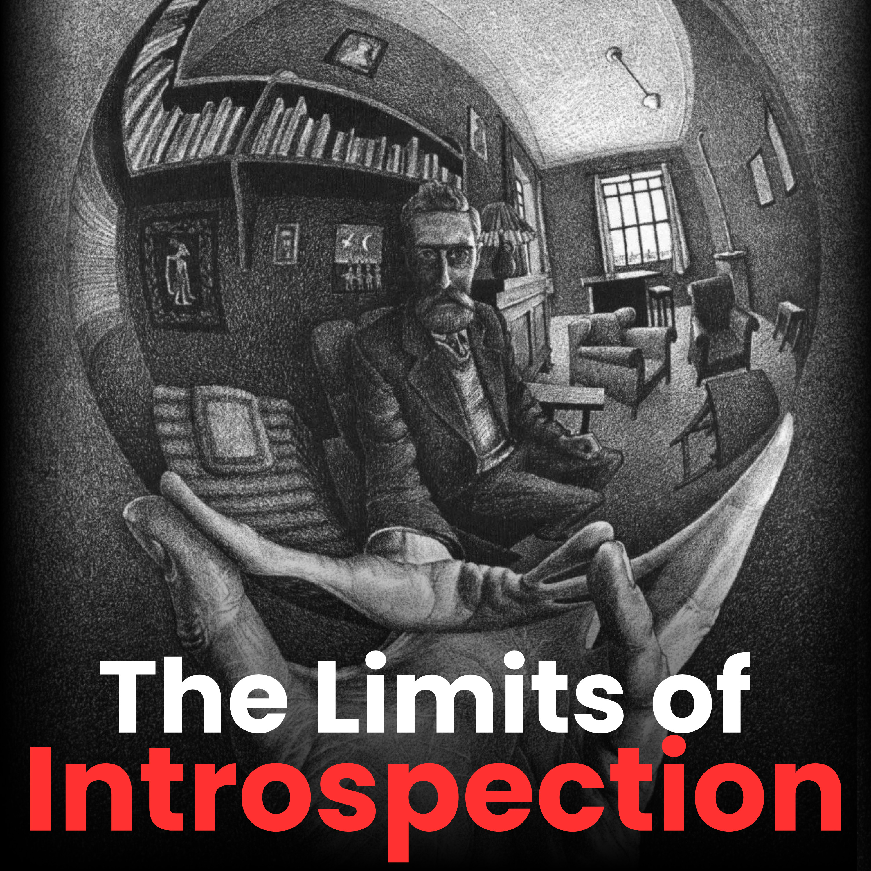 #96 (Bonus) - On the Limits of Introspection #96 (Bonus) - On the Limits of Introspection