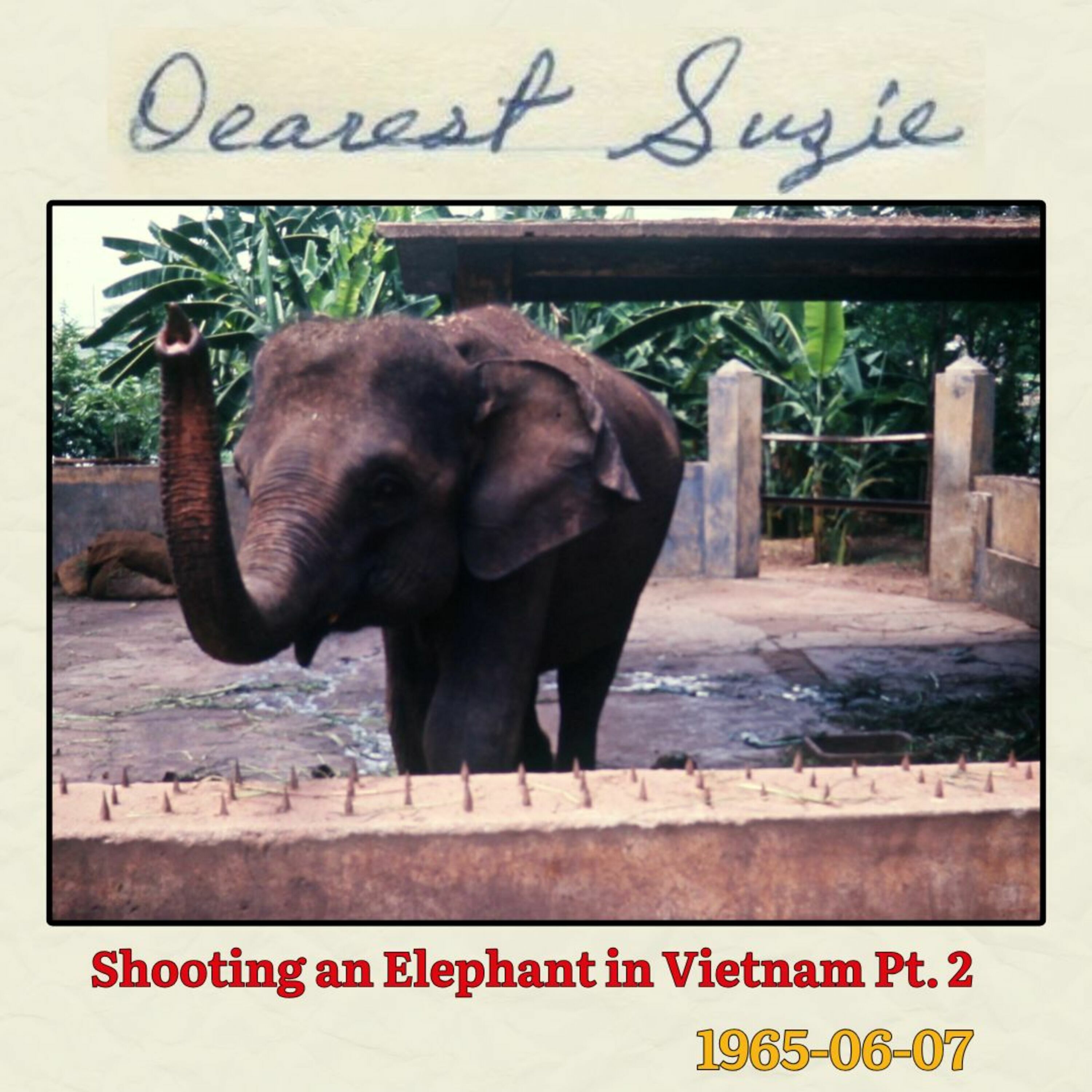 Episode 103: 1965-06-07 | Shooting an Elephant in Vietnam Pt. 2 episode artwork