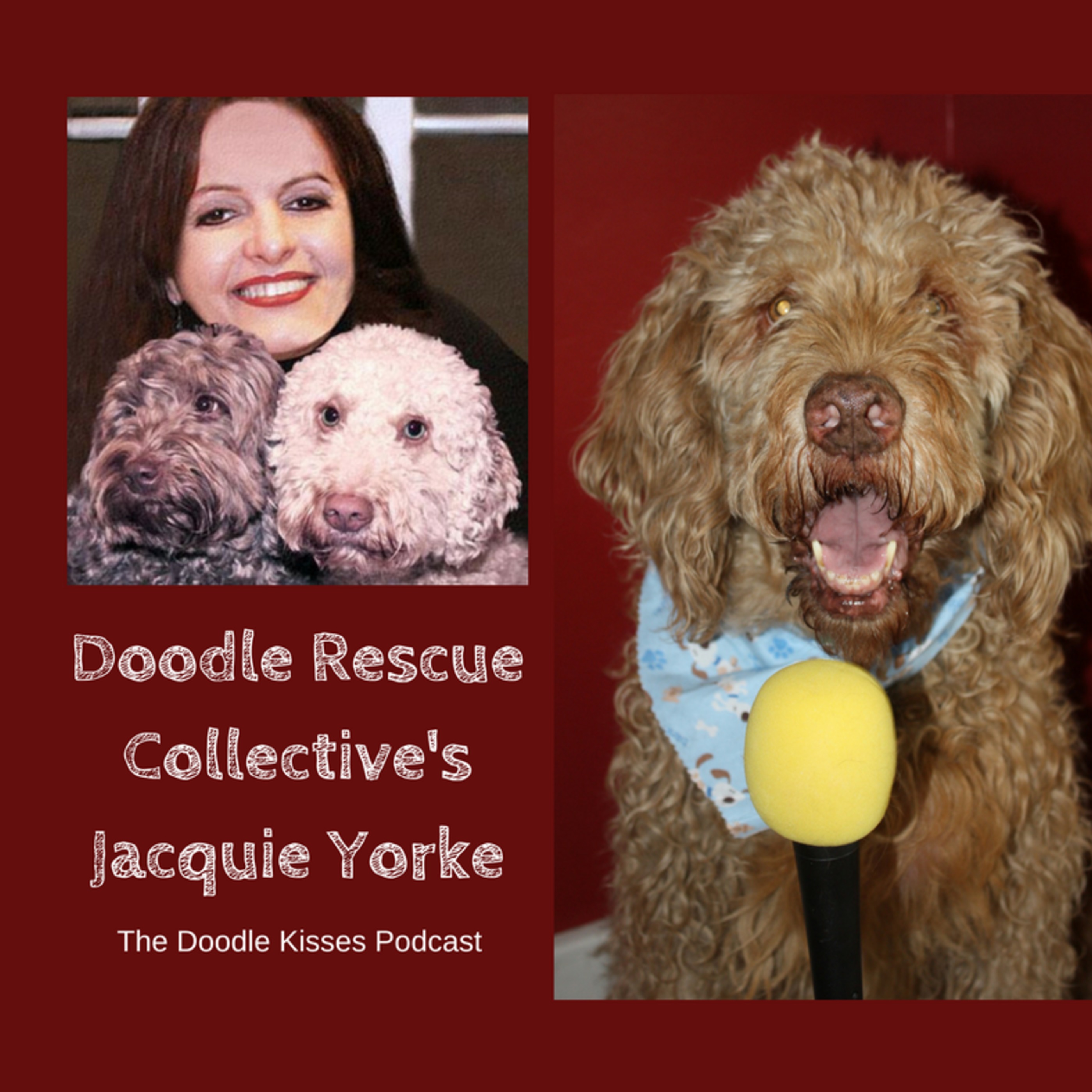 The Doodle Kisses Podcast