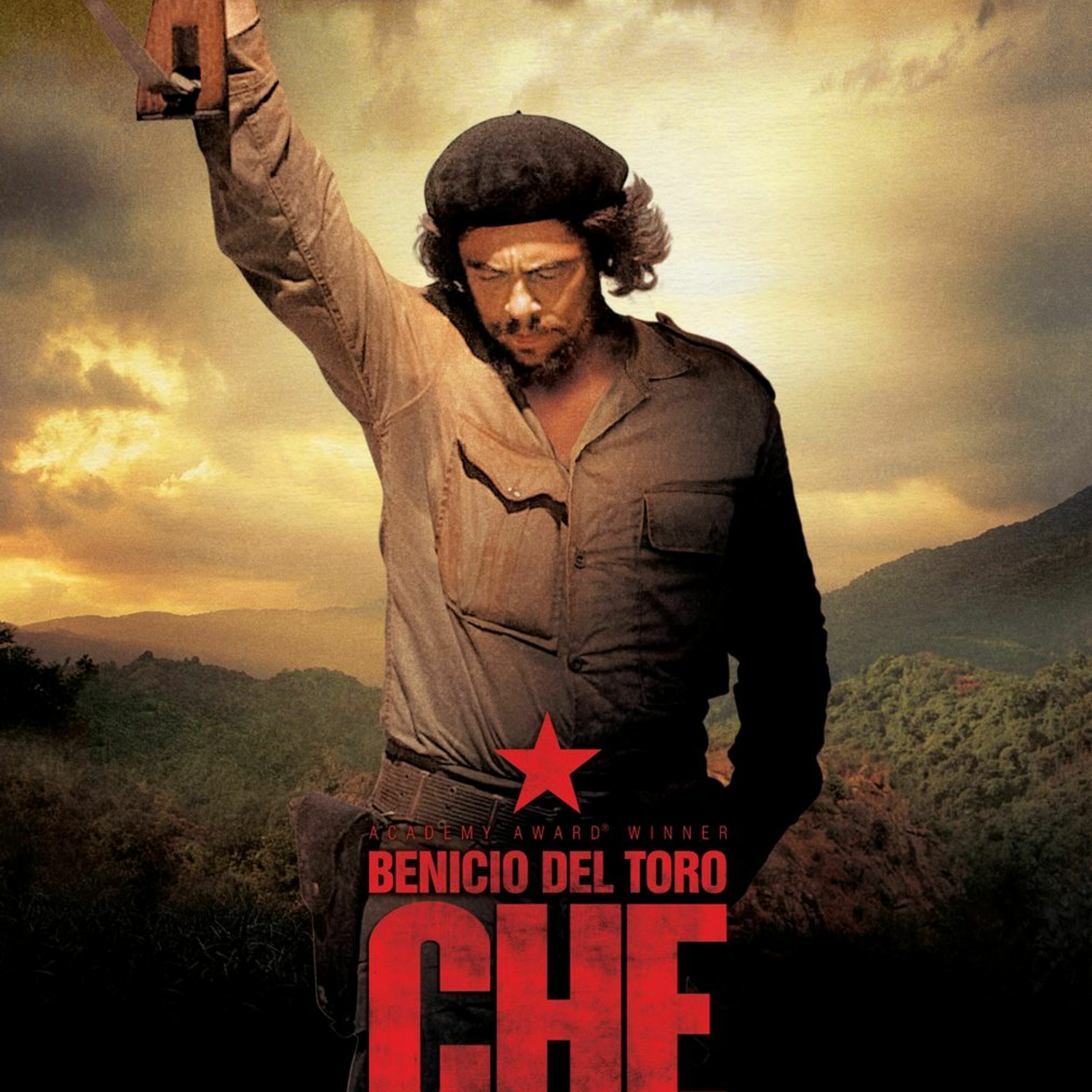 CHE (2008)