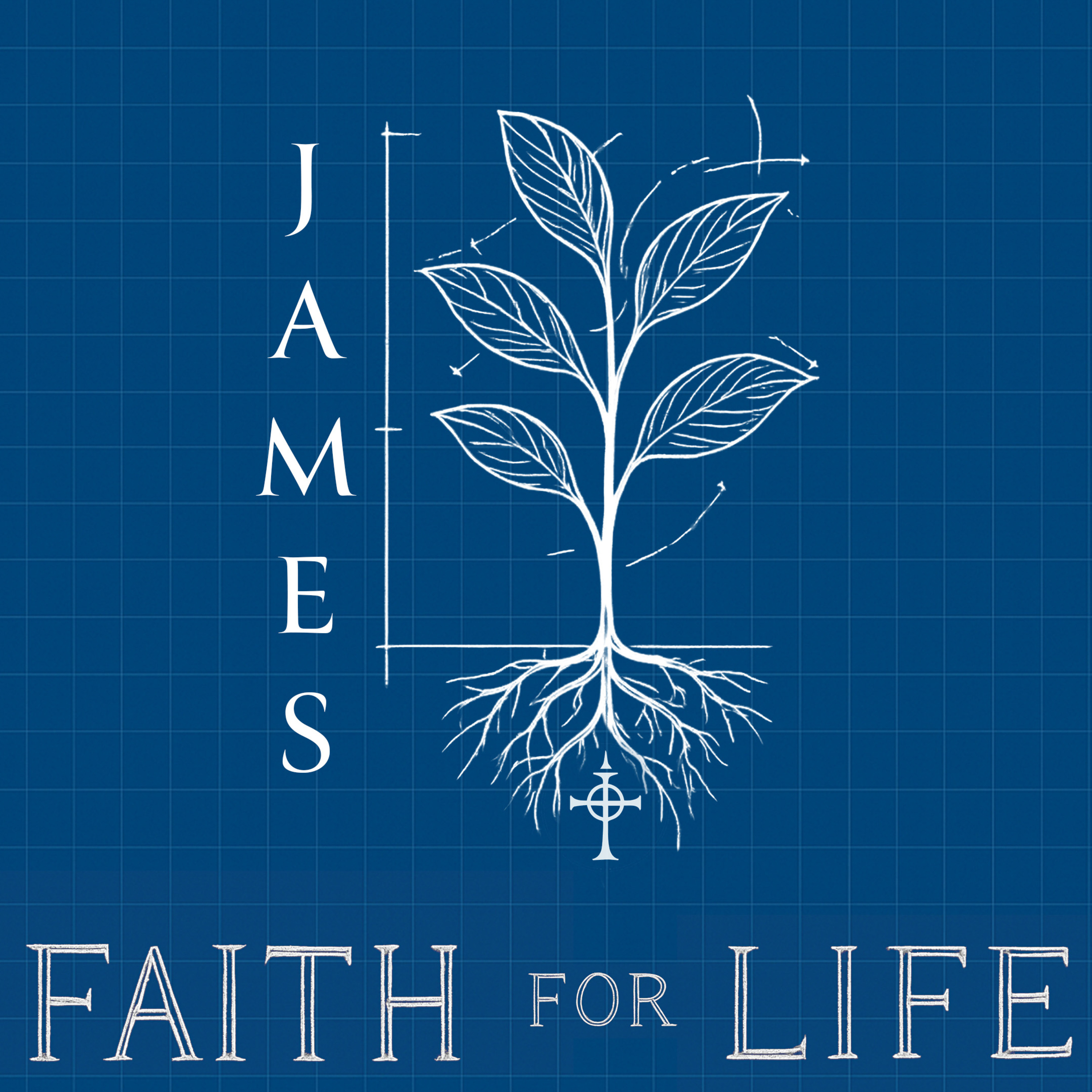 CrossPointe Coast | Pineda