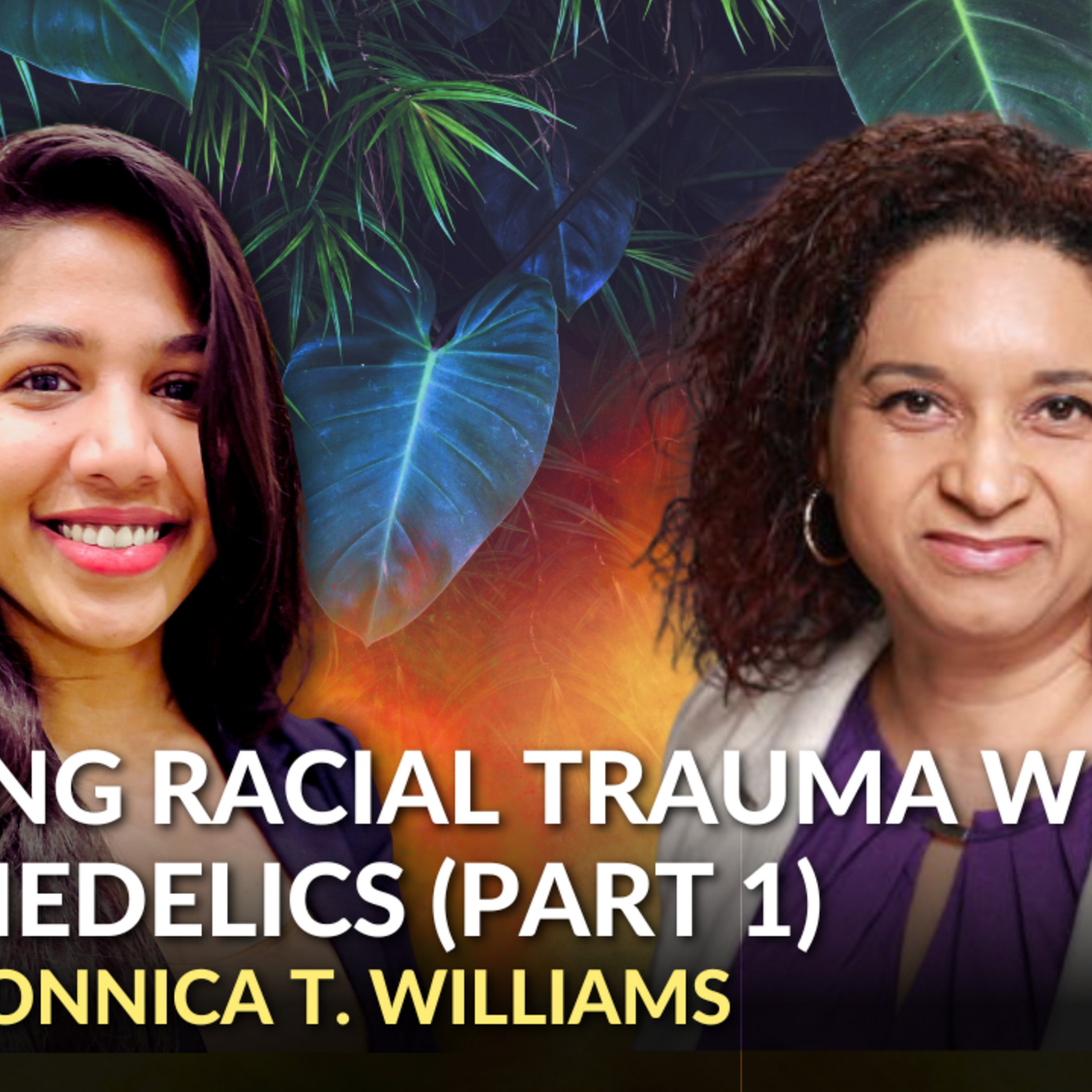 Episode 21: Healing Racial Trauma with Psychedelics | Dr. Monnica Williams (Part 1) episode artwork
