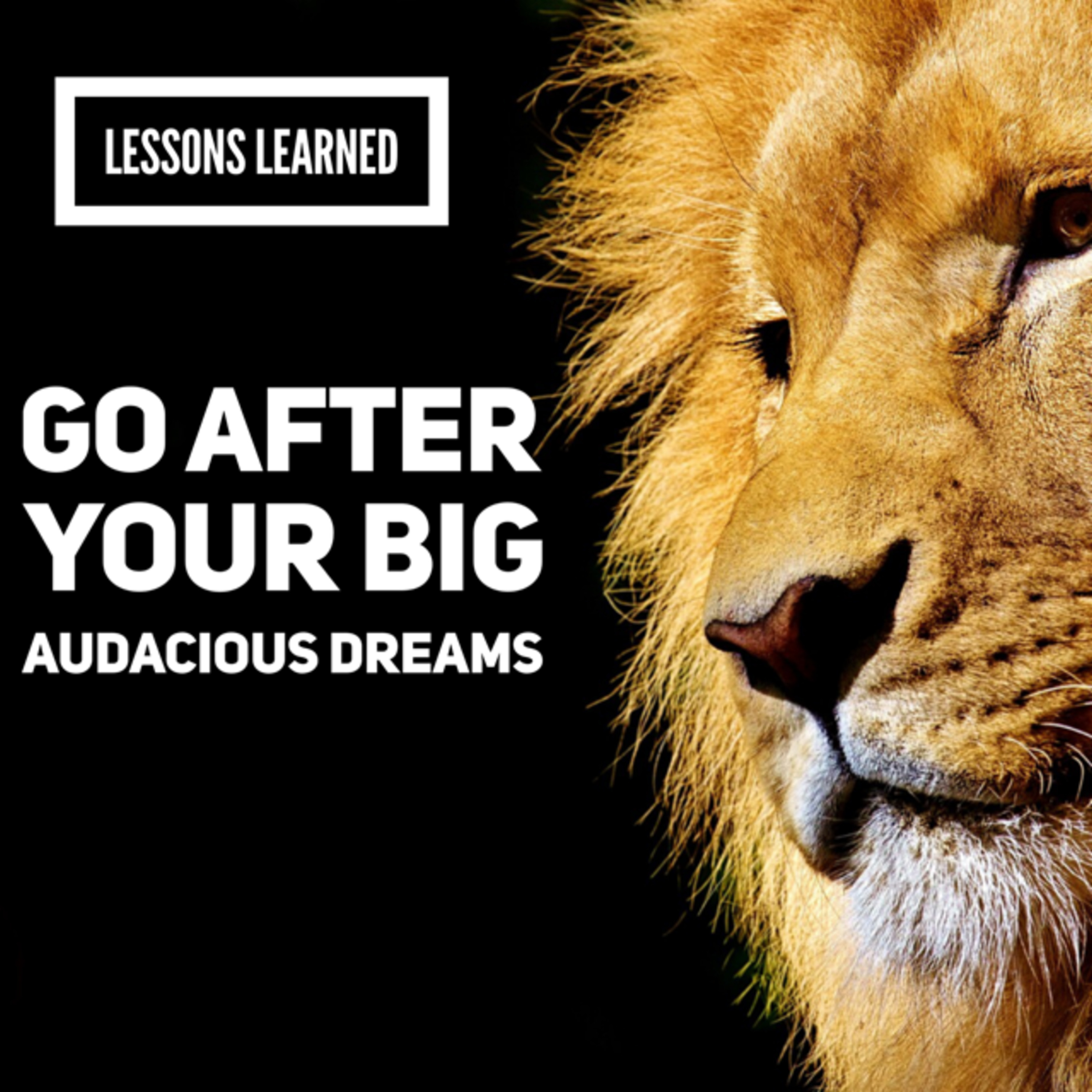 Ambition Habits