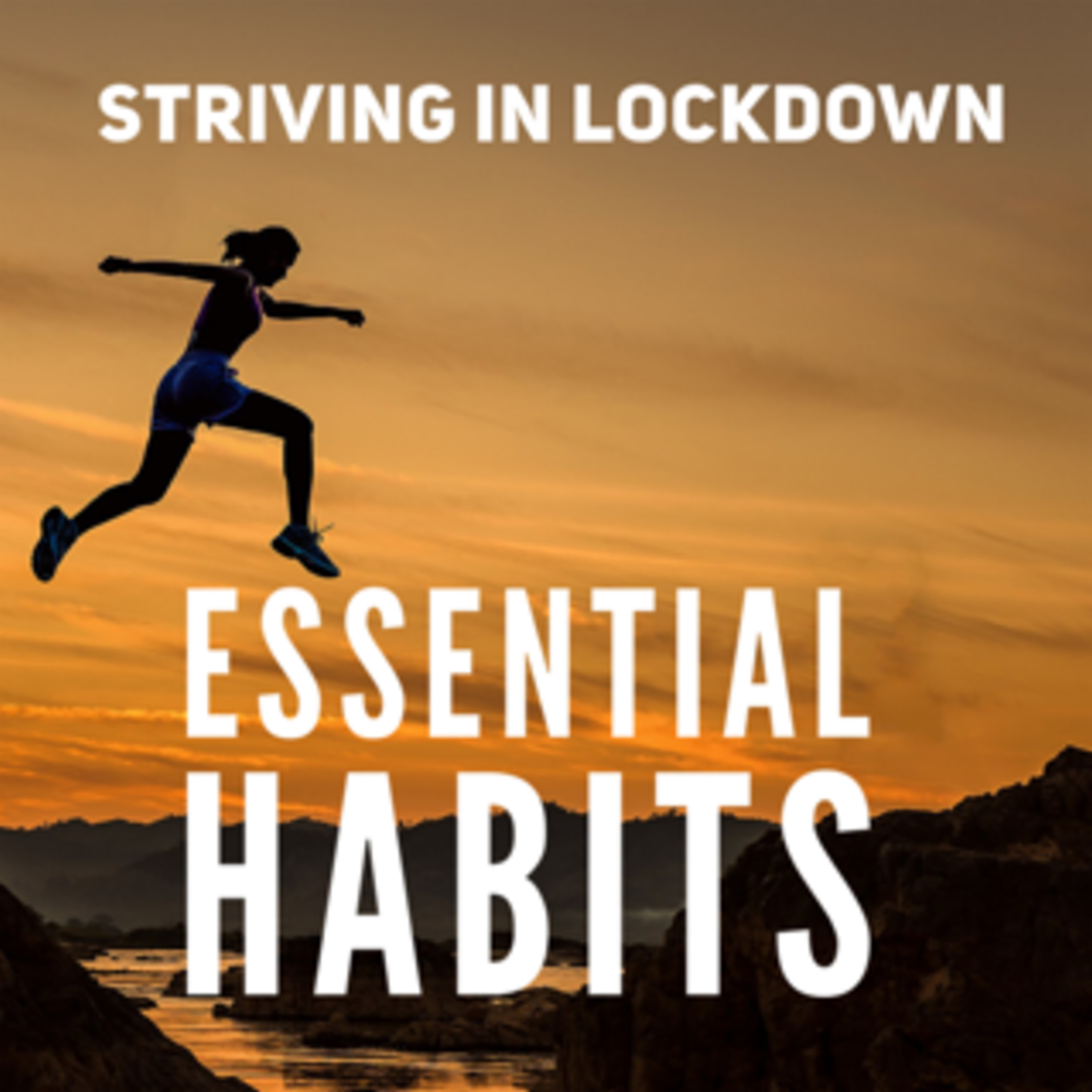 Ambition Habits