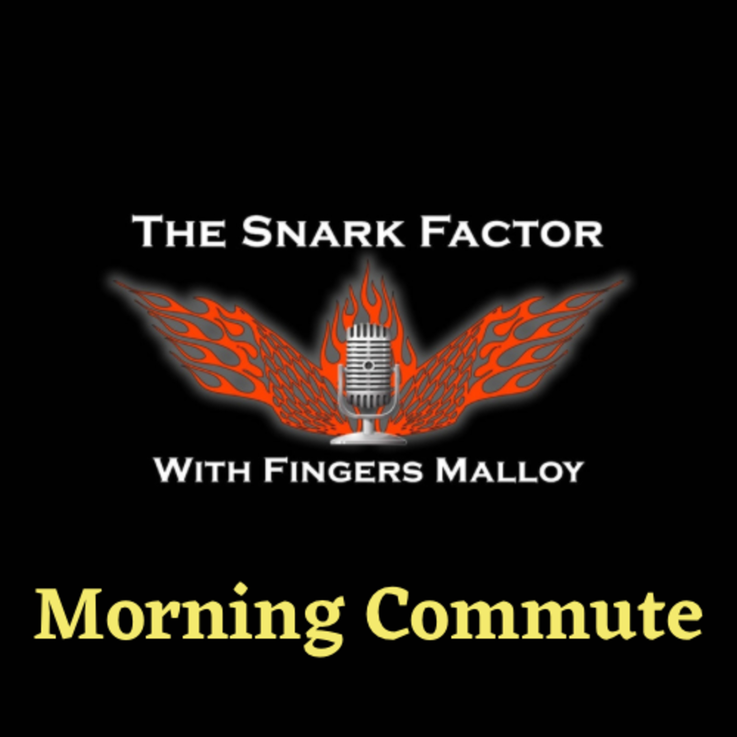 The Morning Commute 11-12-20 - The Senate Race went down to Georgia and COVID -19 Lockdowns are on the Way episode artwork