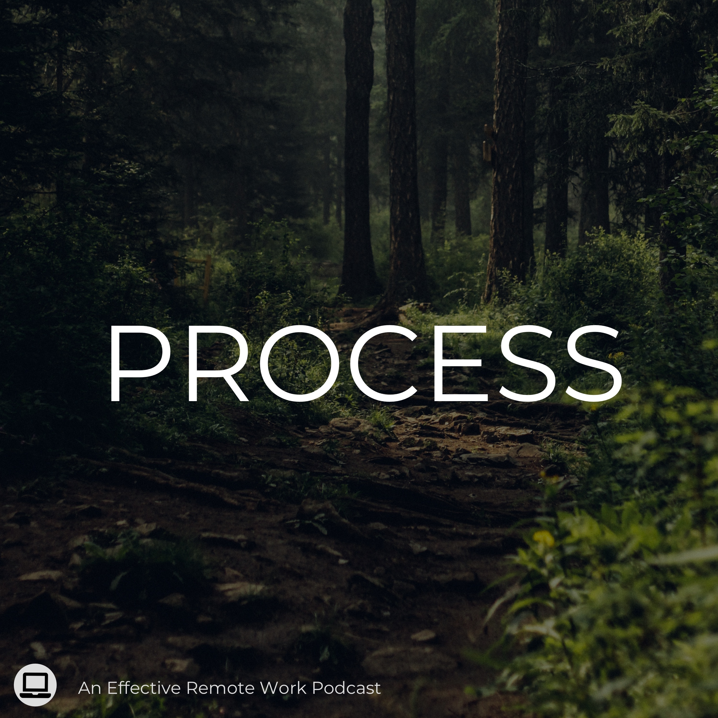 Process - The Journey to Productivity and Effectiveness - podcast cover