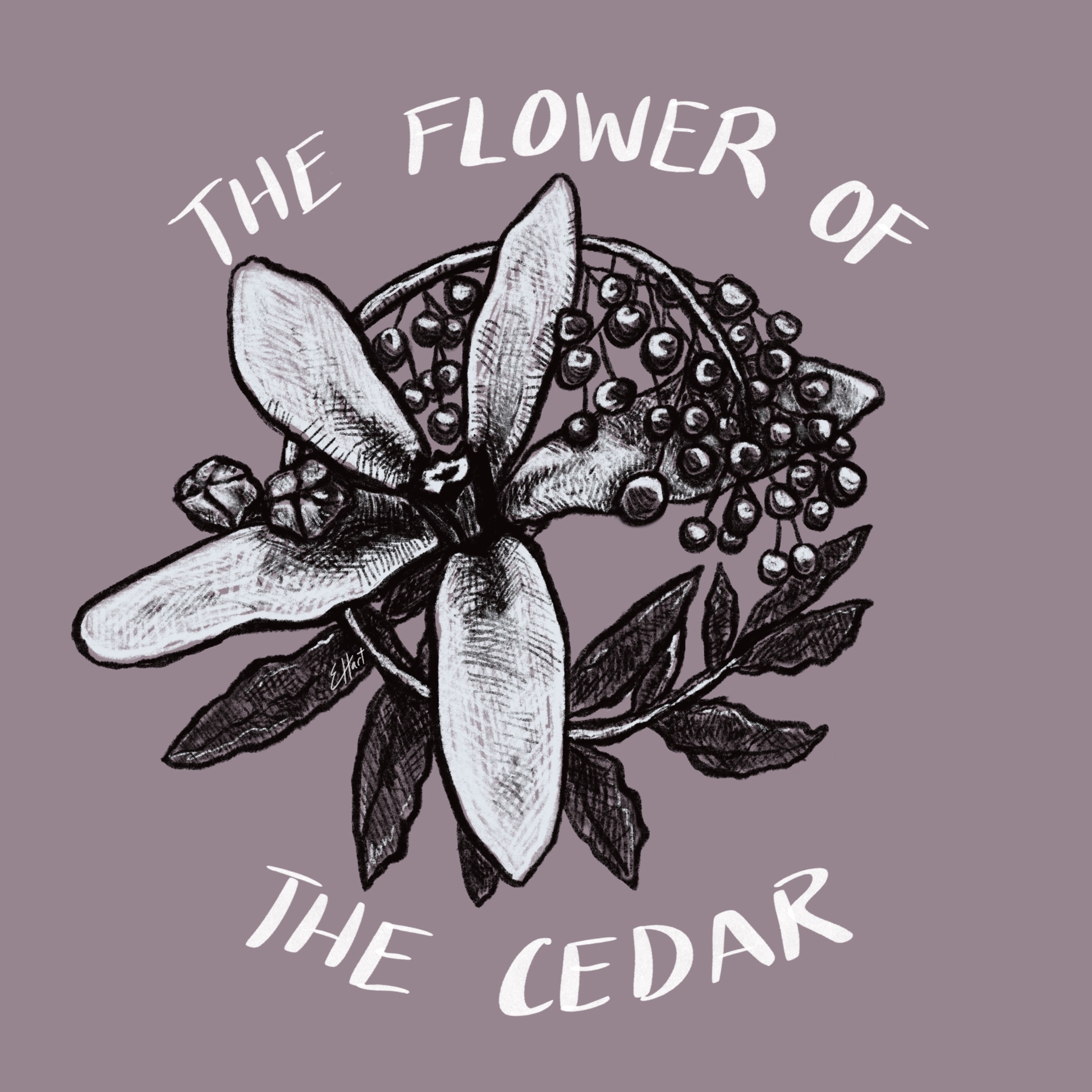 Chapter Eighteen: The Springs