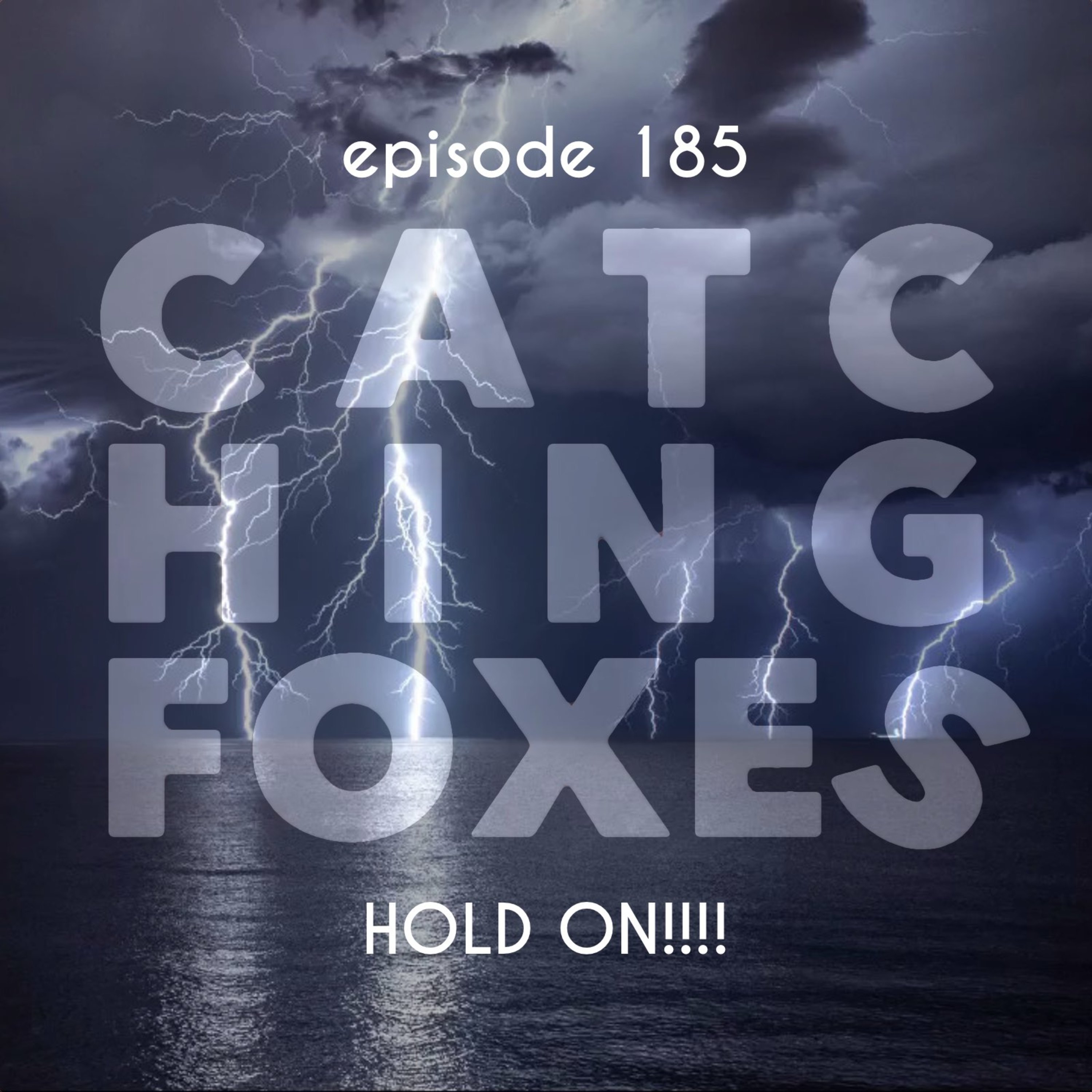 Catching Foxes