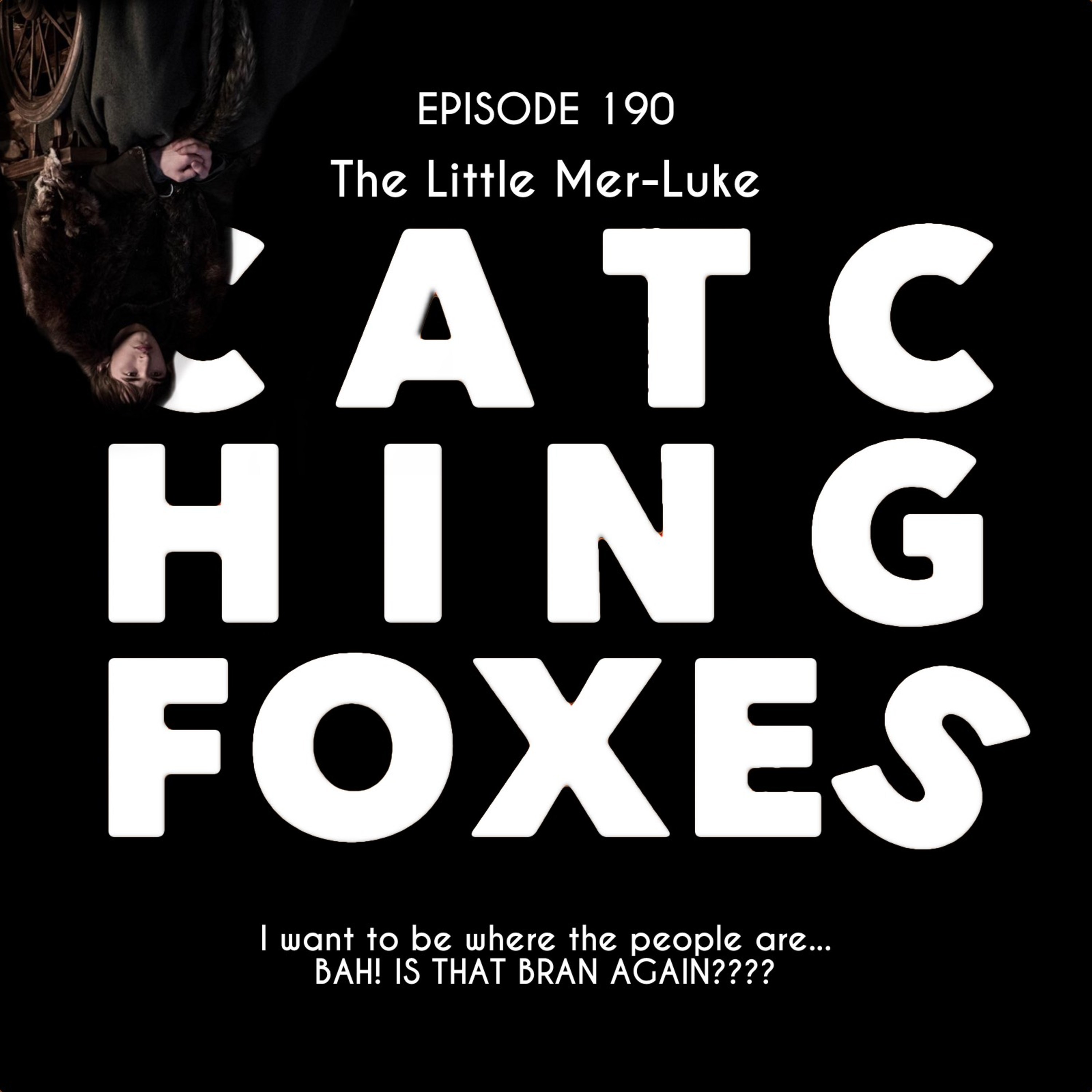 Catching Foxes