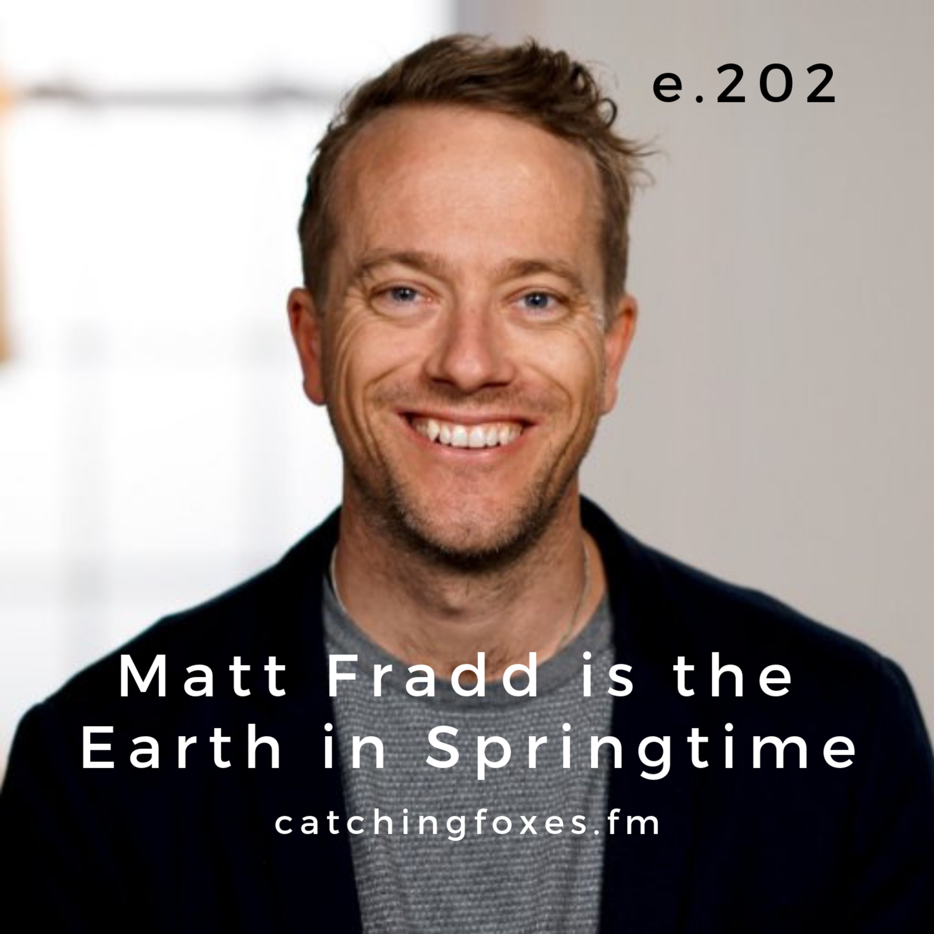 Catching Foxes