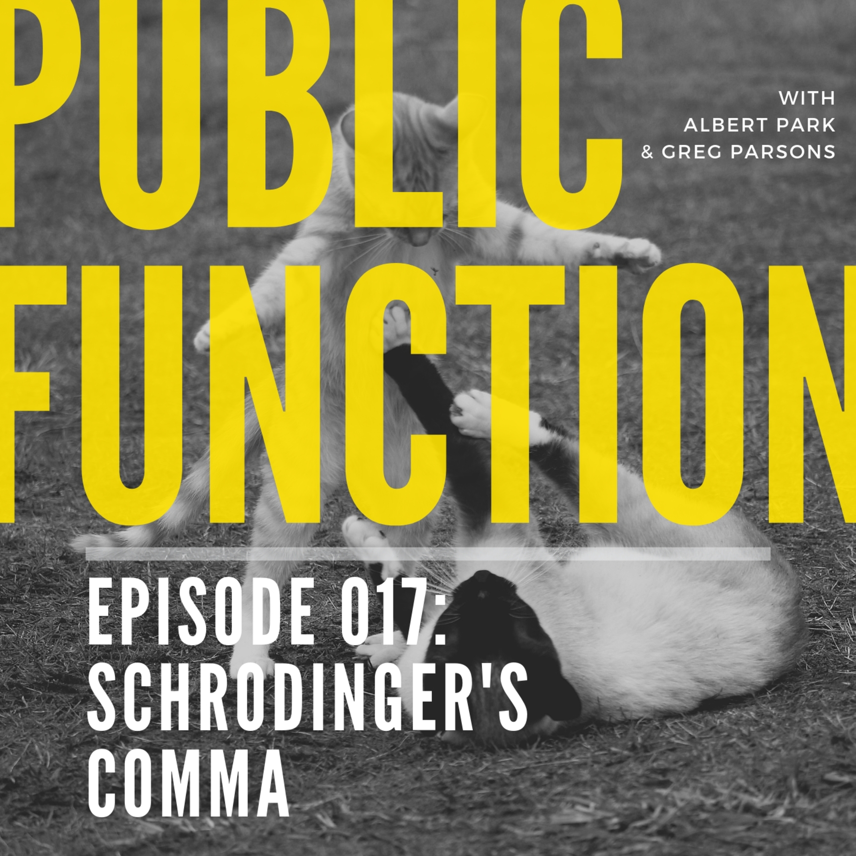 017: Schrodinger's Comma