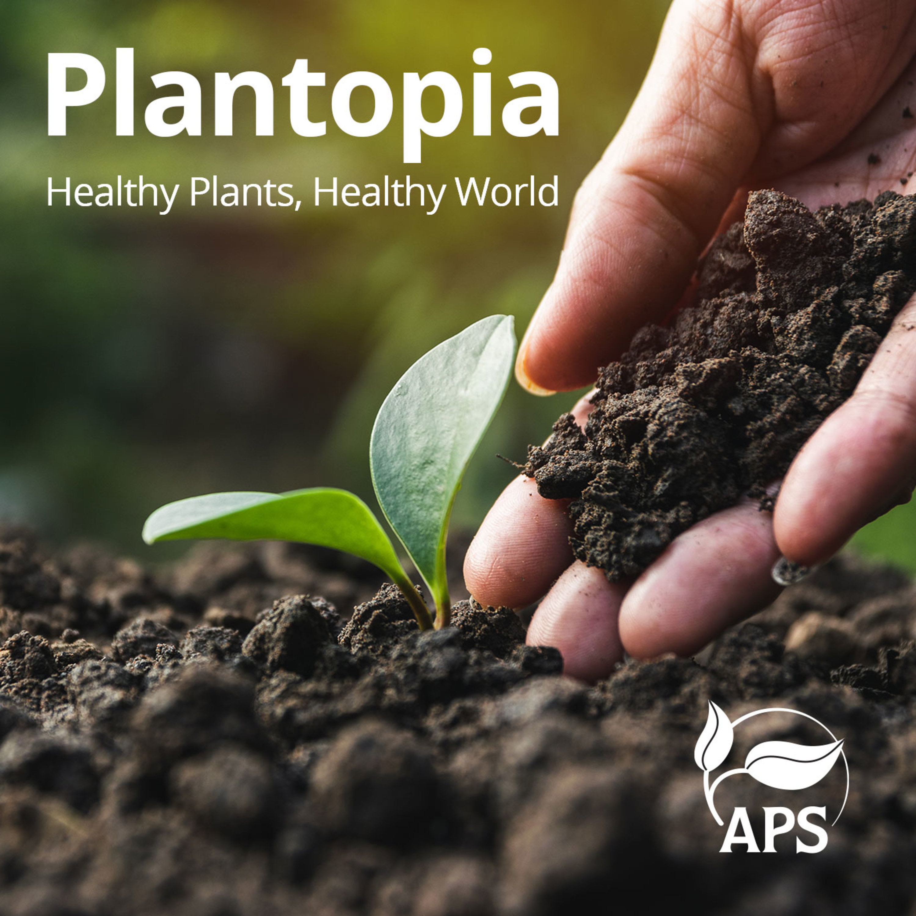 Bonus: Introducing Plantopia