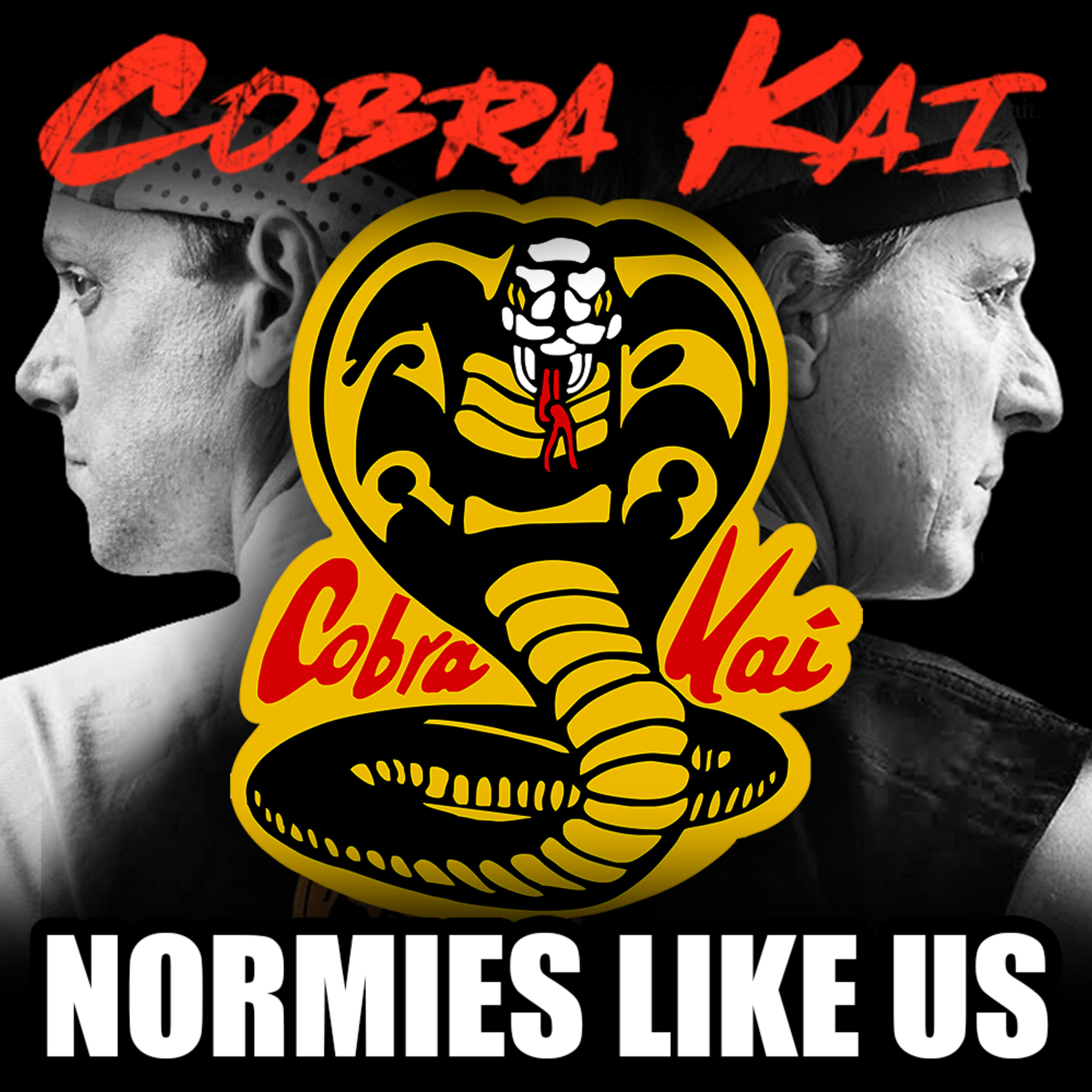 Normies Like Us