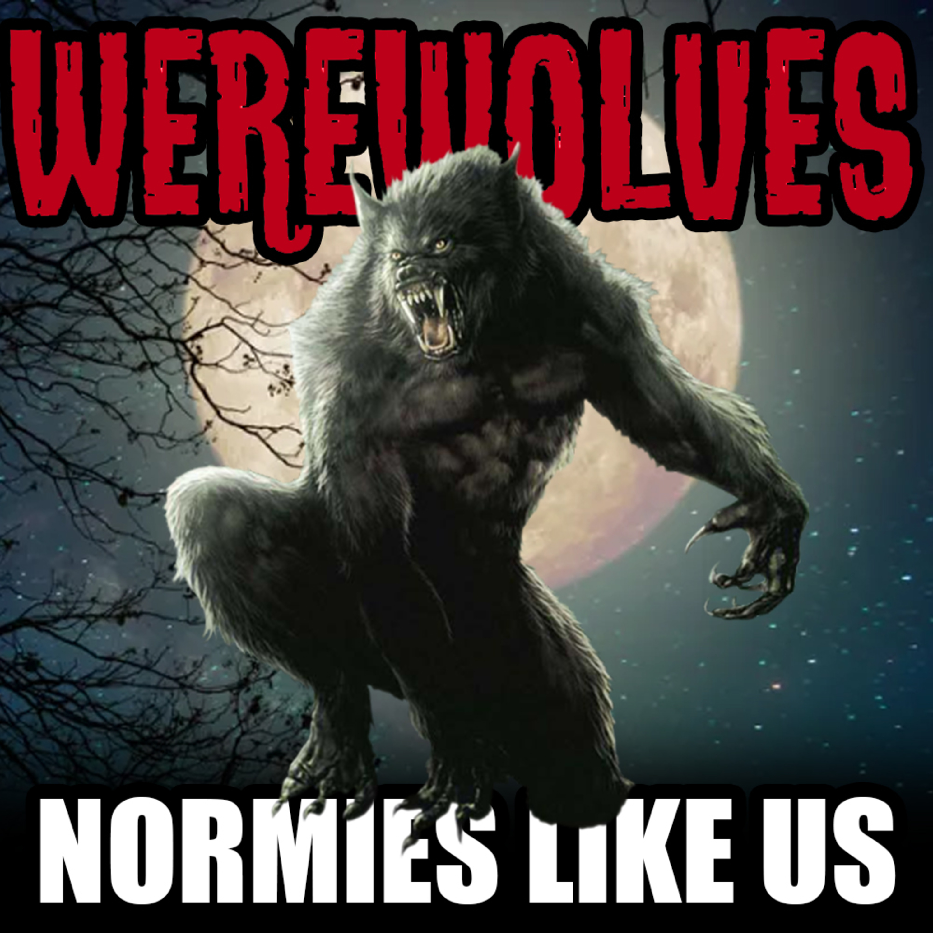 Normies Like Us