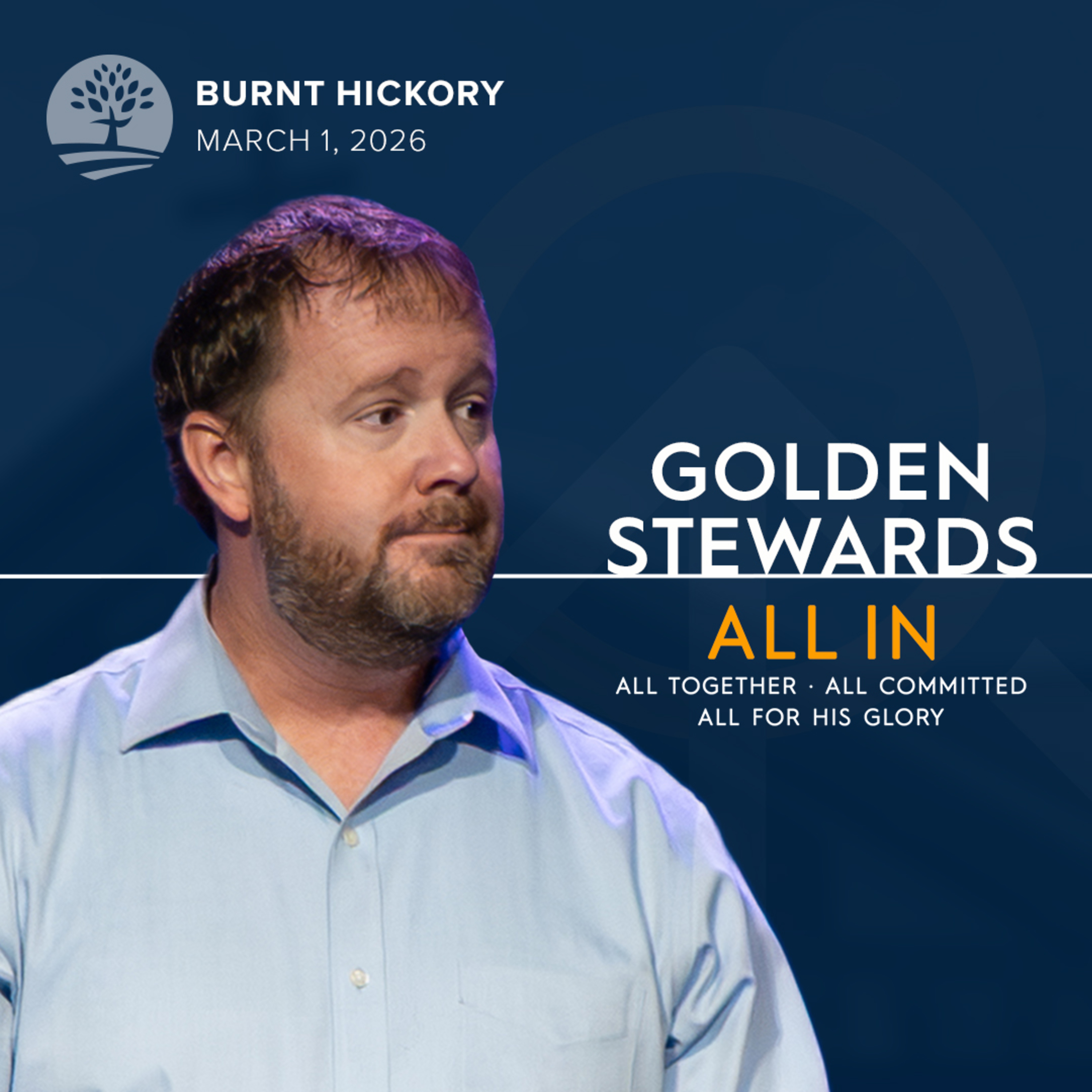 Golden Stewards | All In episode artwork