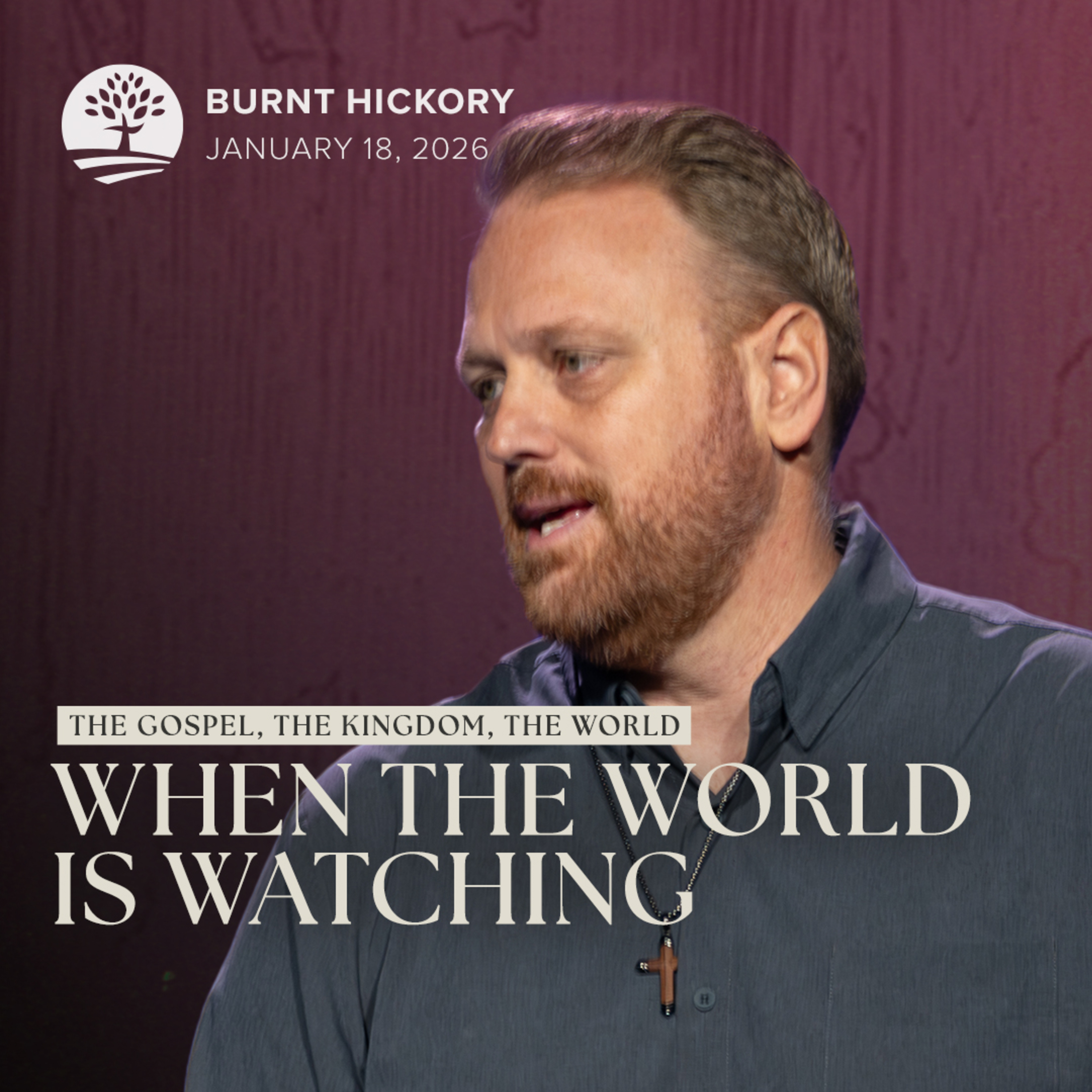 Living the Gospel in a Watching World | The Gospel, The Kingdom, The World episode artwork