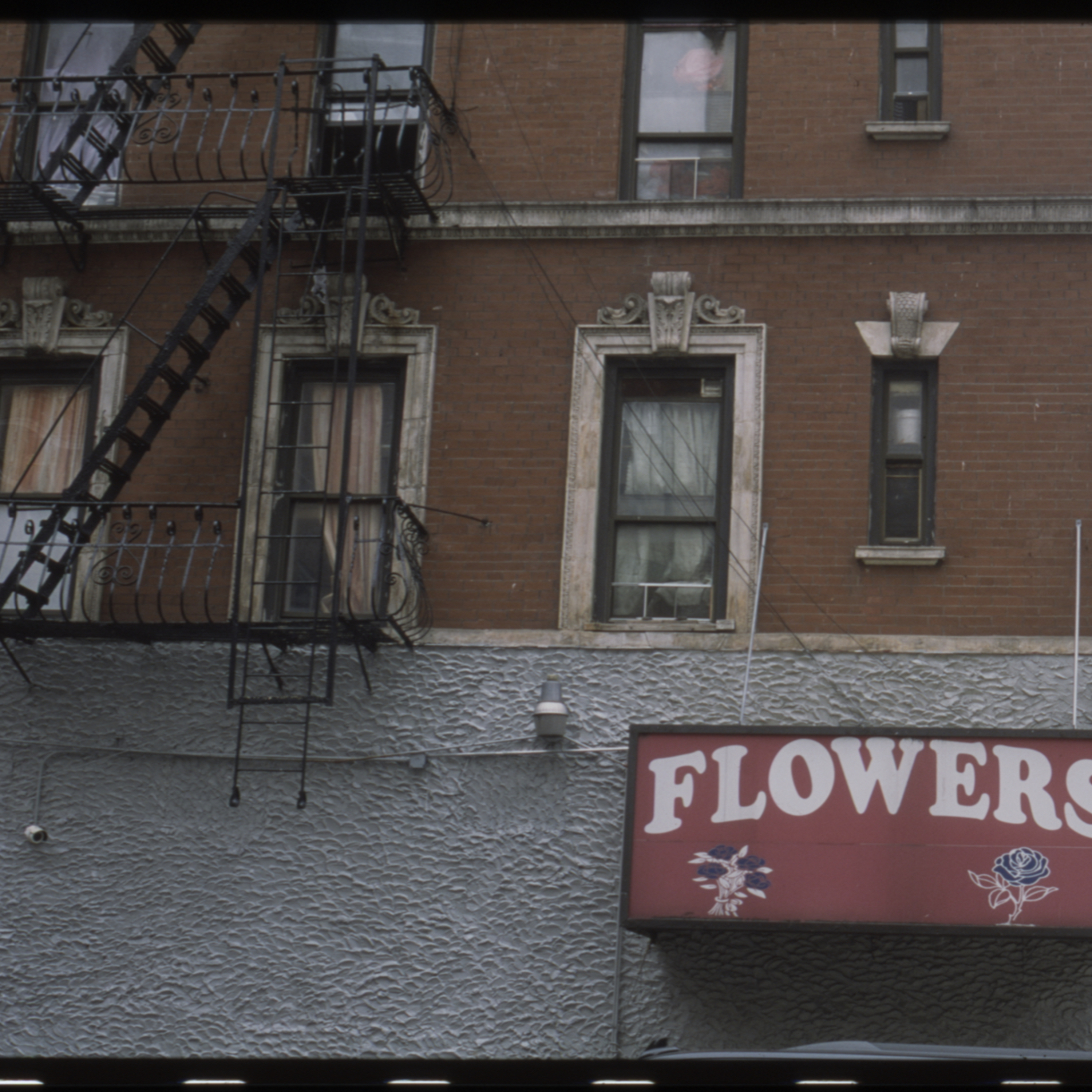FAQ NYC