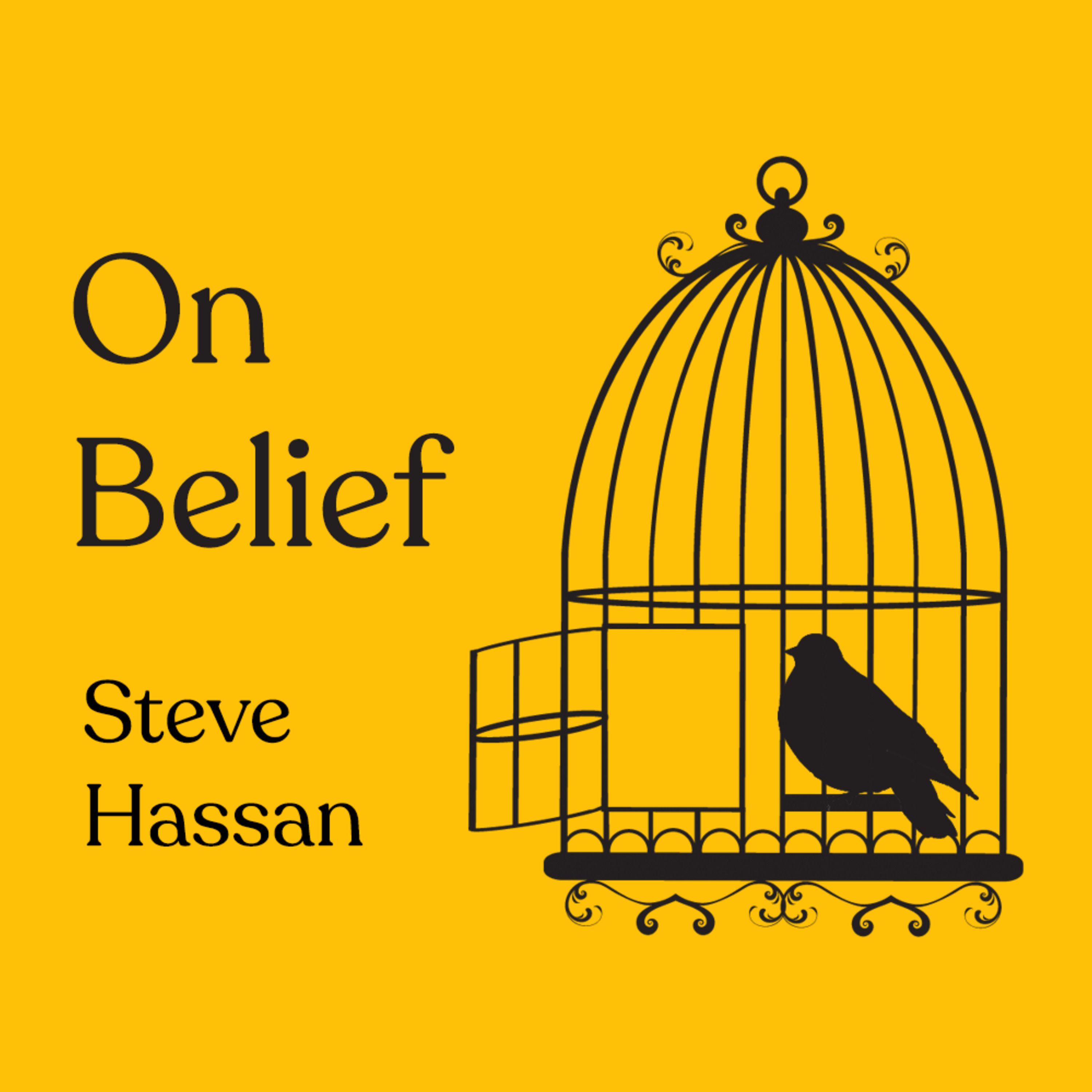 Episode 207: Steve Hassan