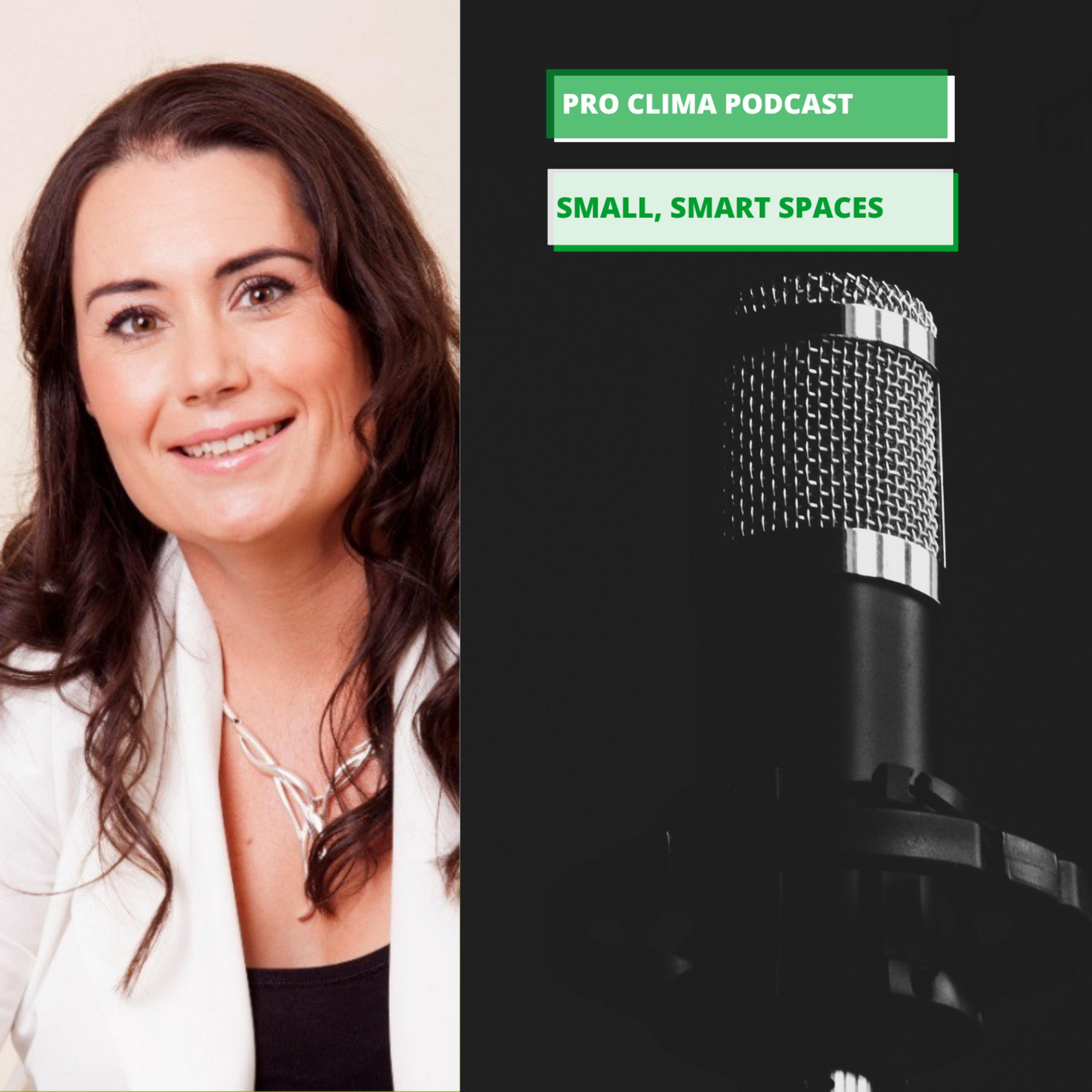 Episode 31: Small, Smart Spaces - Sharon Robinson episode artwork