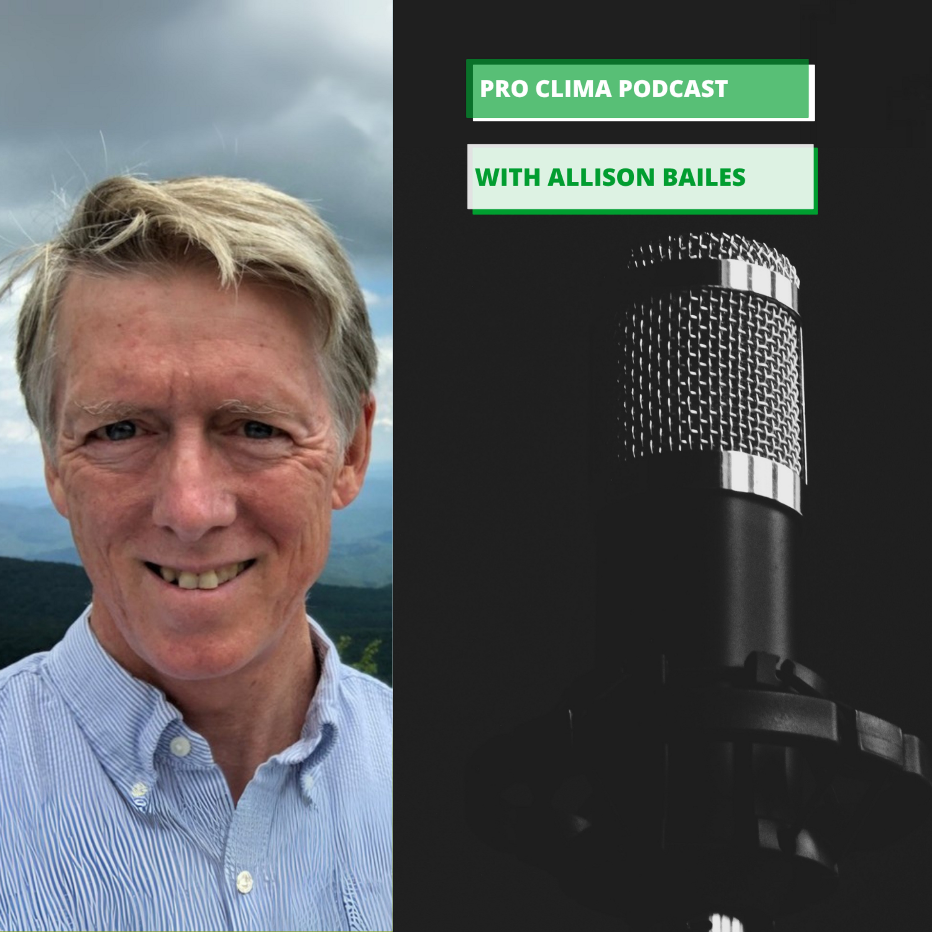 Episode 28: Allison Bailes episode artwork