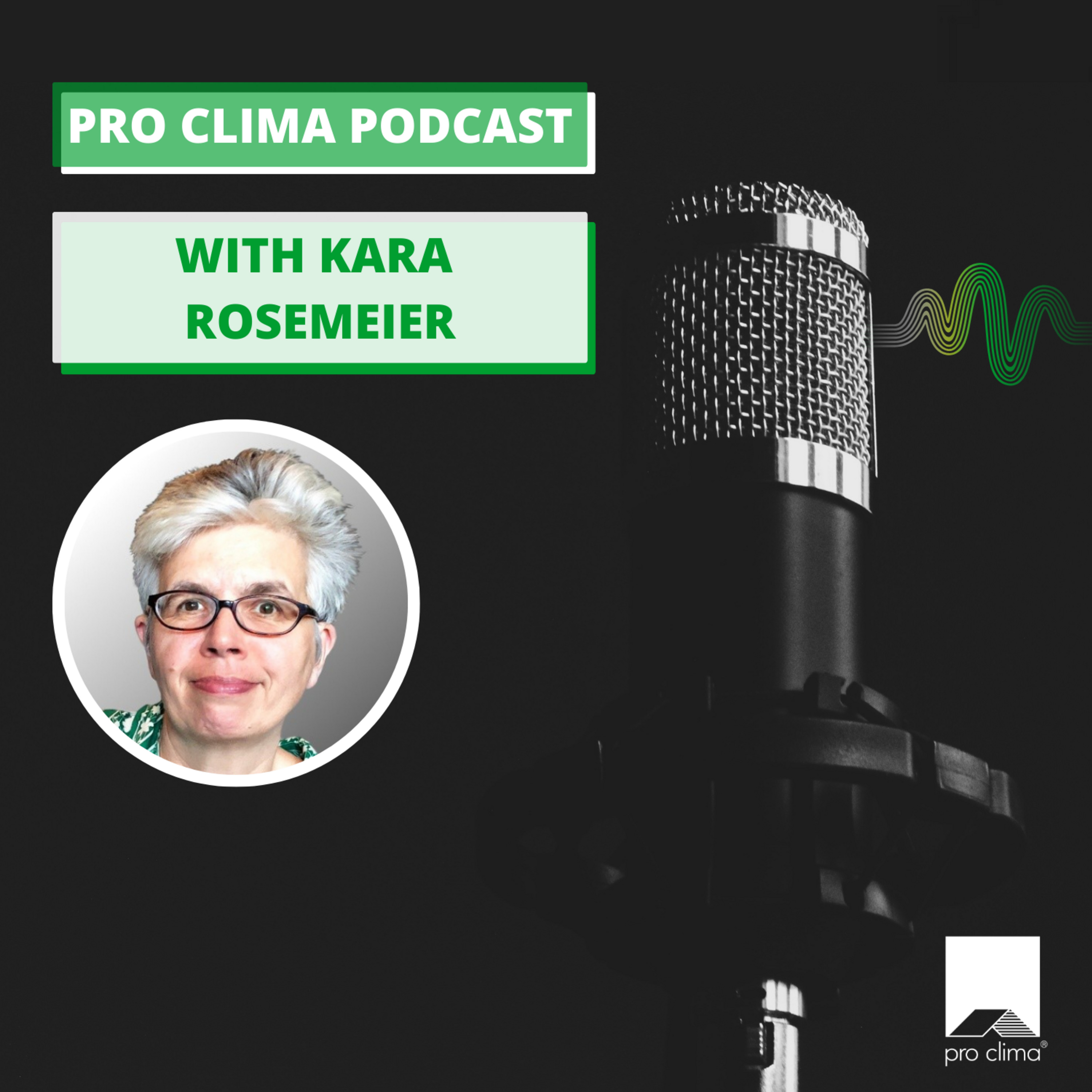 Episode 15: Kara Rosemeier episode artwork