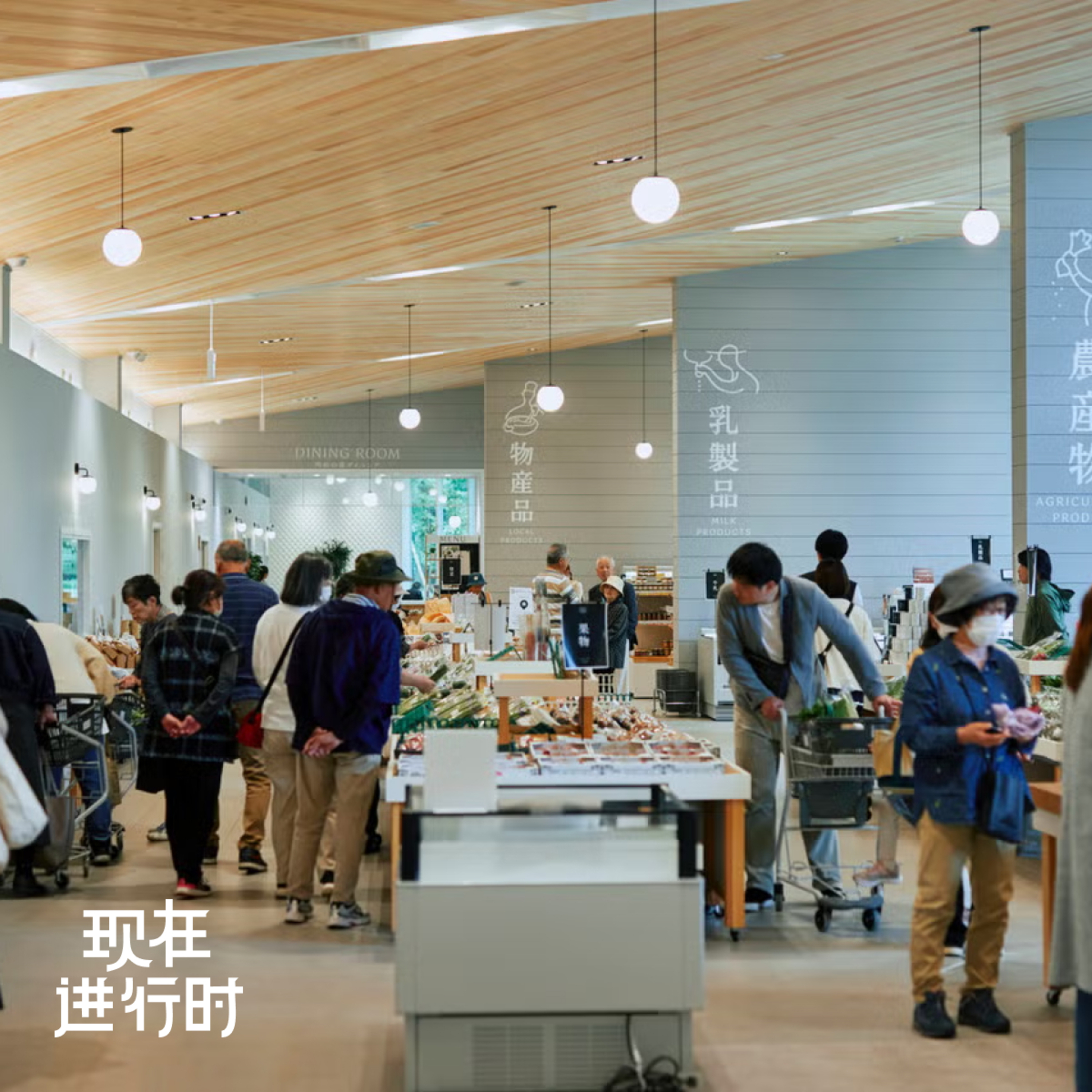 Vol.101 比优衣库还多的道之驿，到底在卖什么？ episode artwork