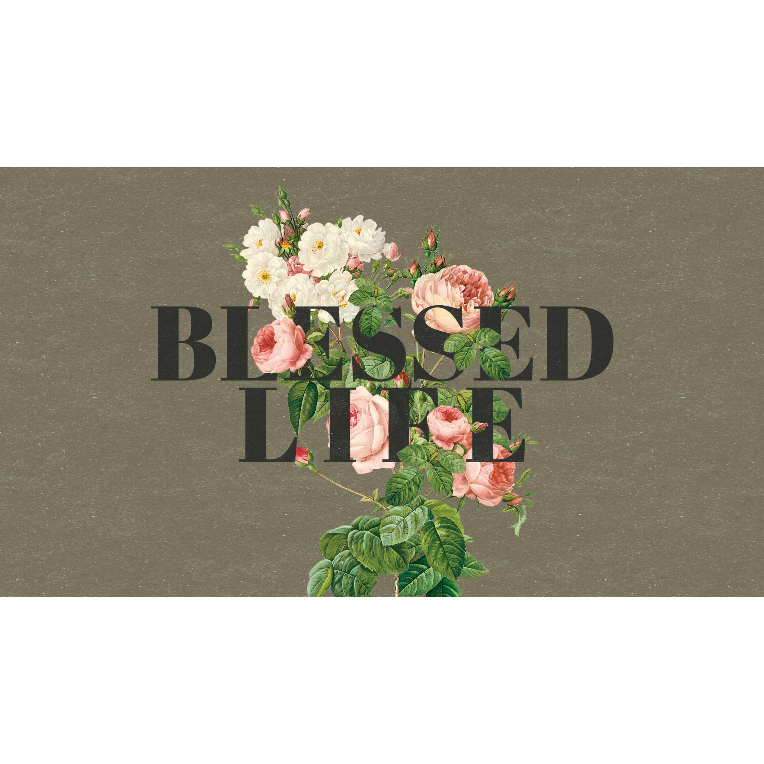 444: The Blessed Life – Blessed are the Peacemakers episode artwork