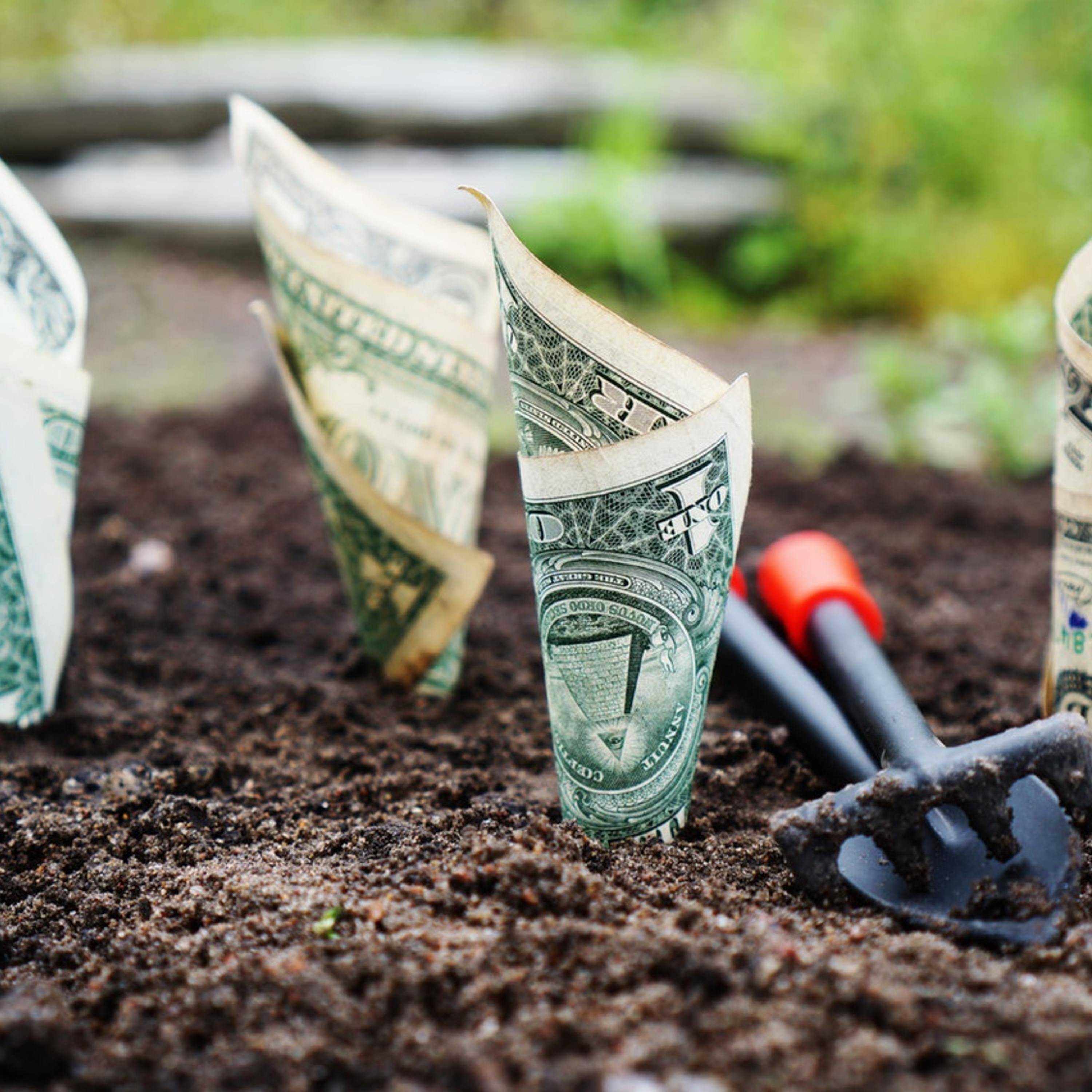 Proprietary Tools: Stagnation or Growth