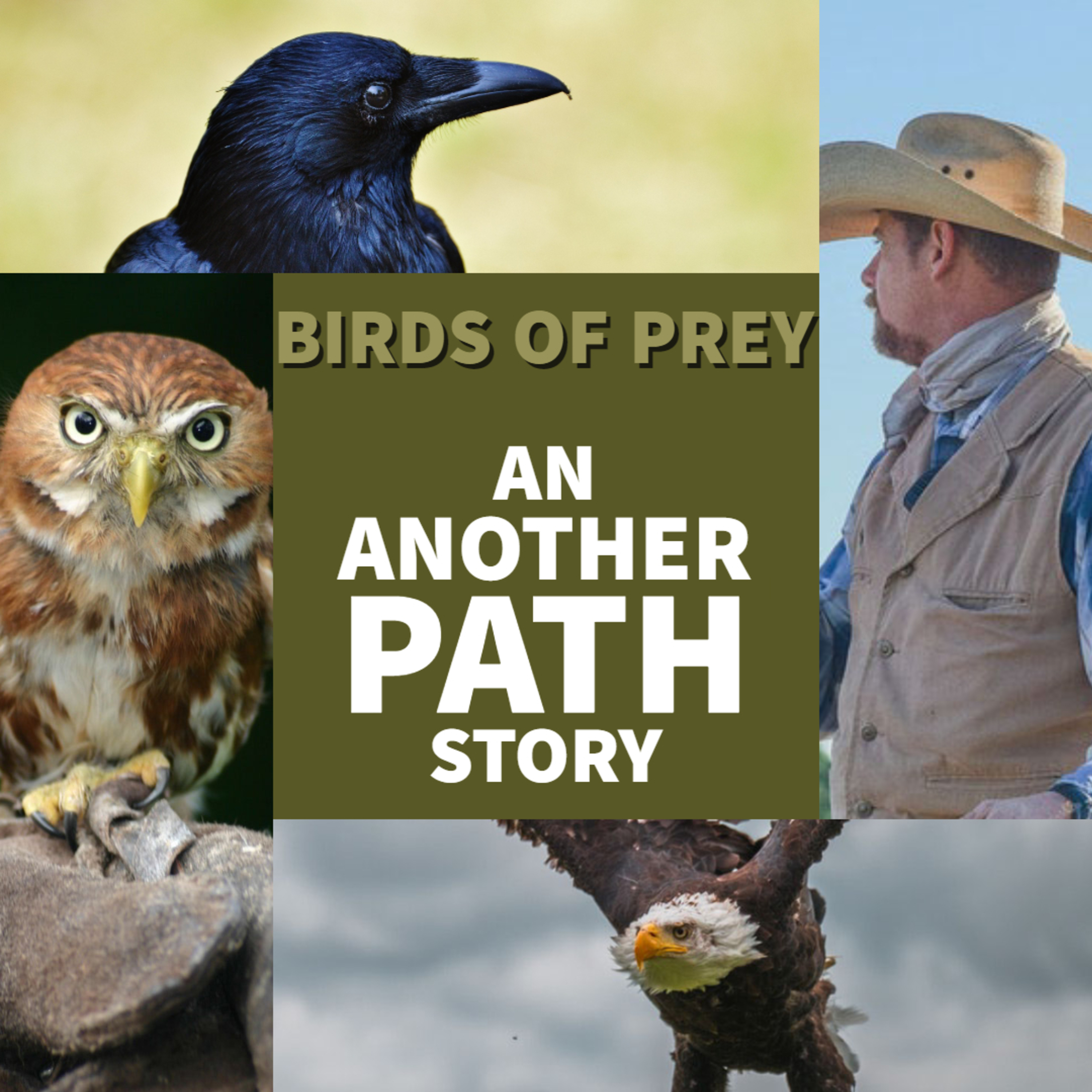 Birds of Prey: Scatter the Flock