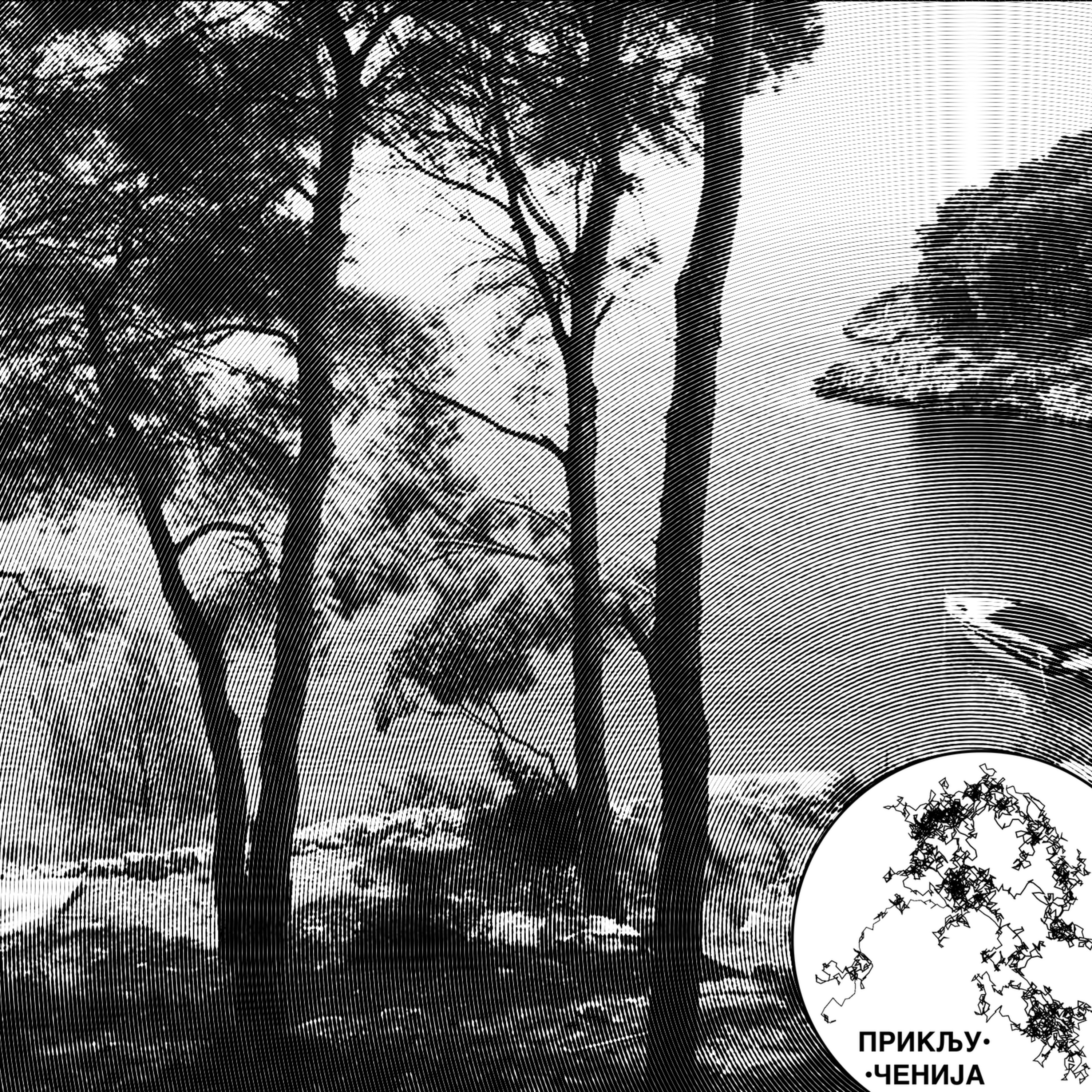 310: Brač episode artwork