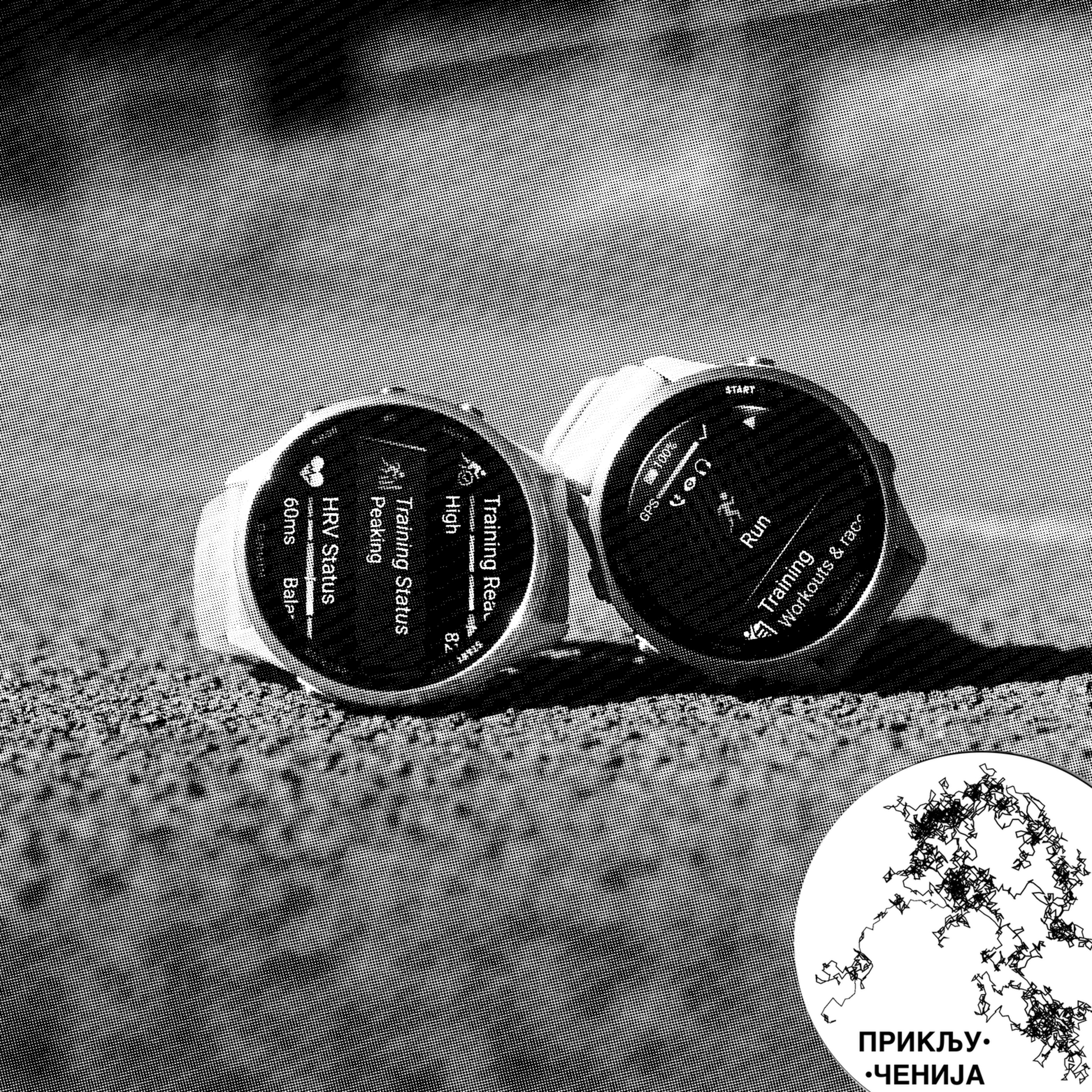 319: Diverzifikacija