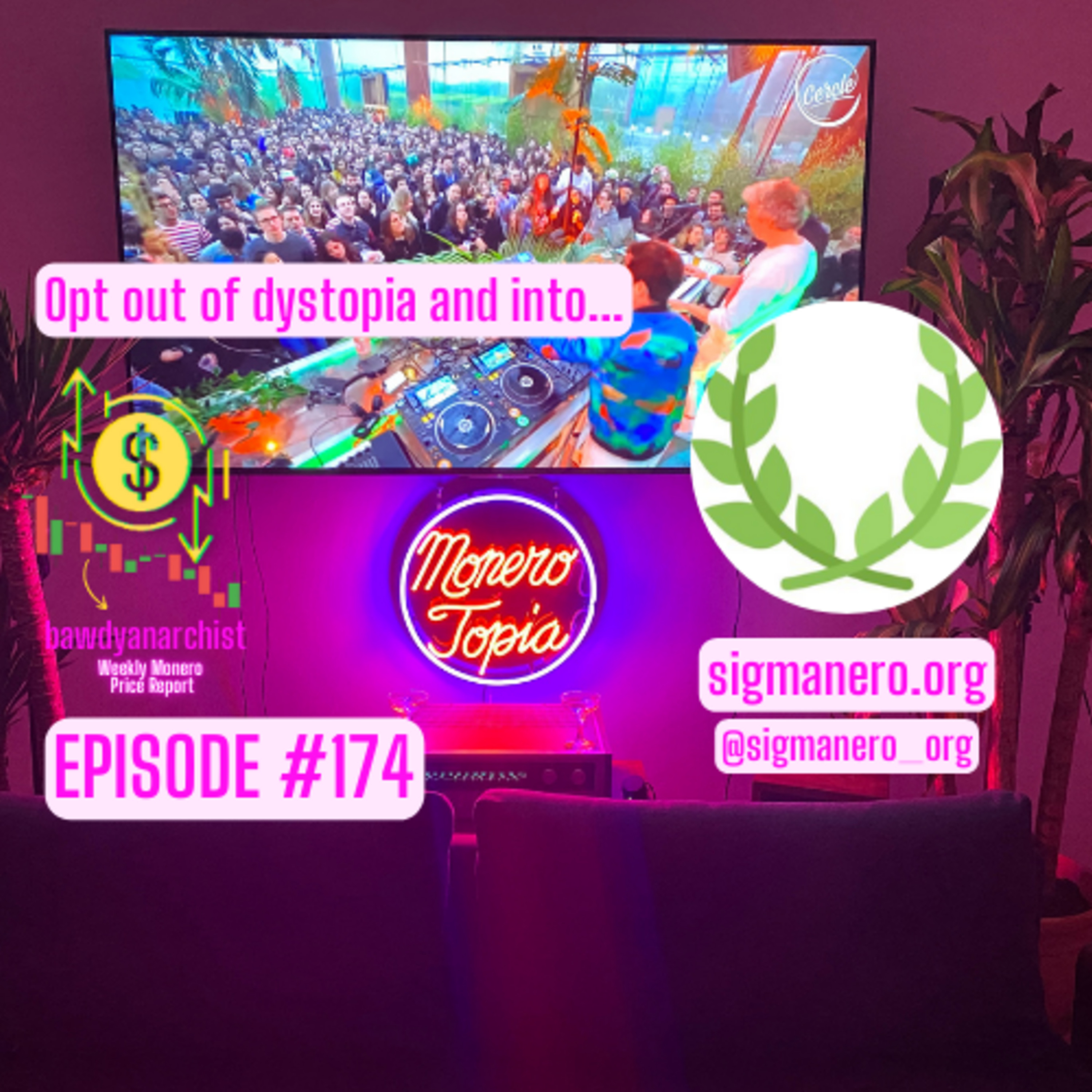 P2P betting using Sigmanero | Price, News & MUCH More! EPI 174