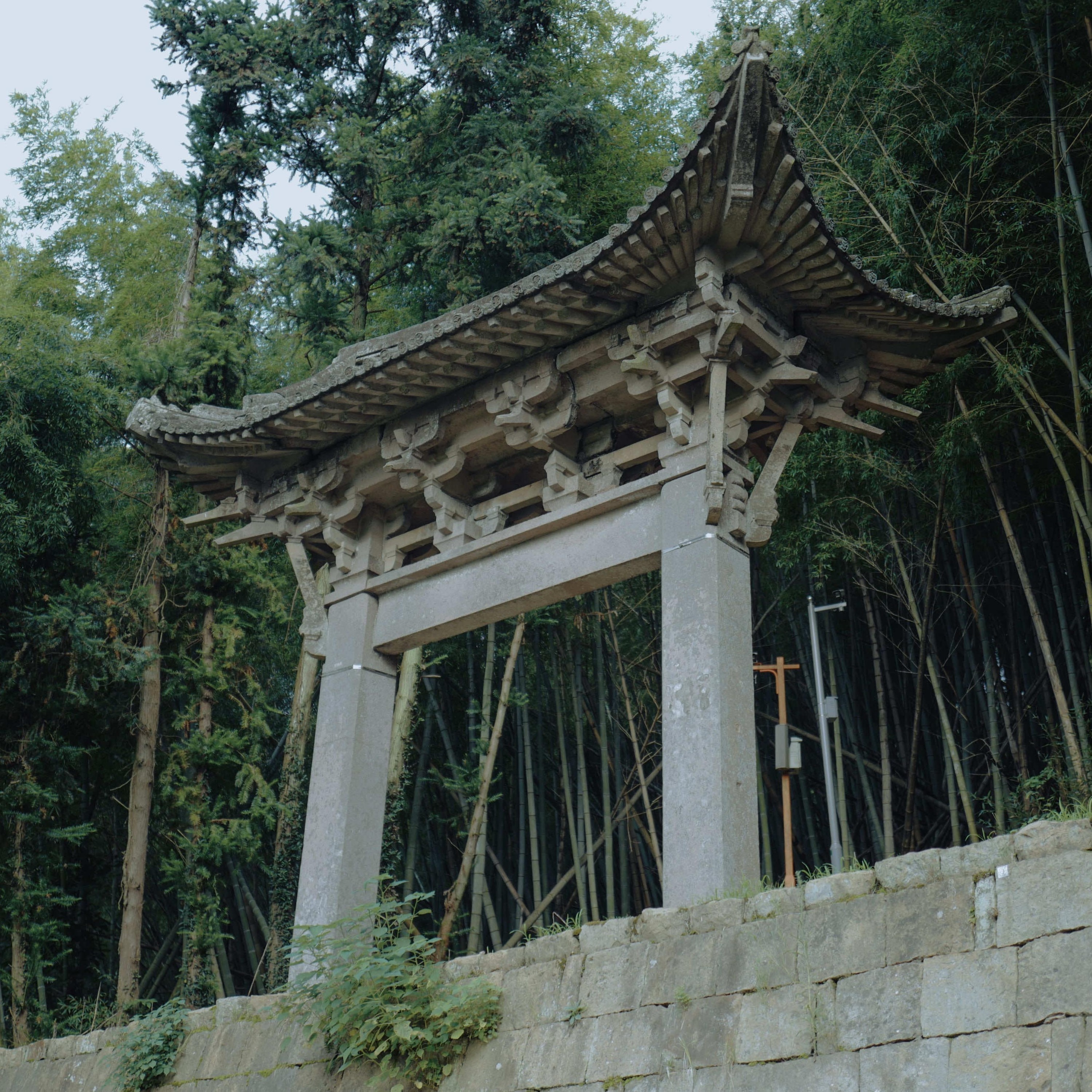 Artwork for 山有虎