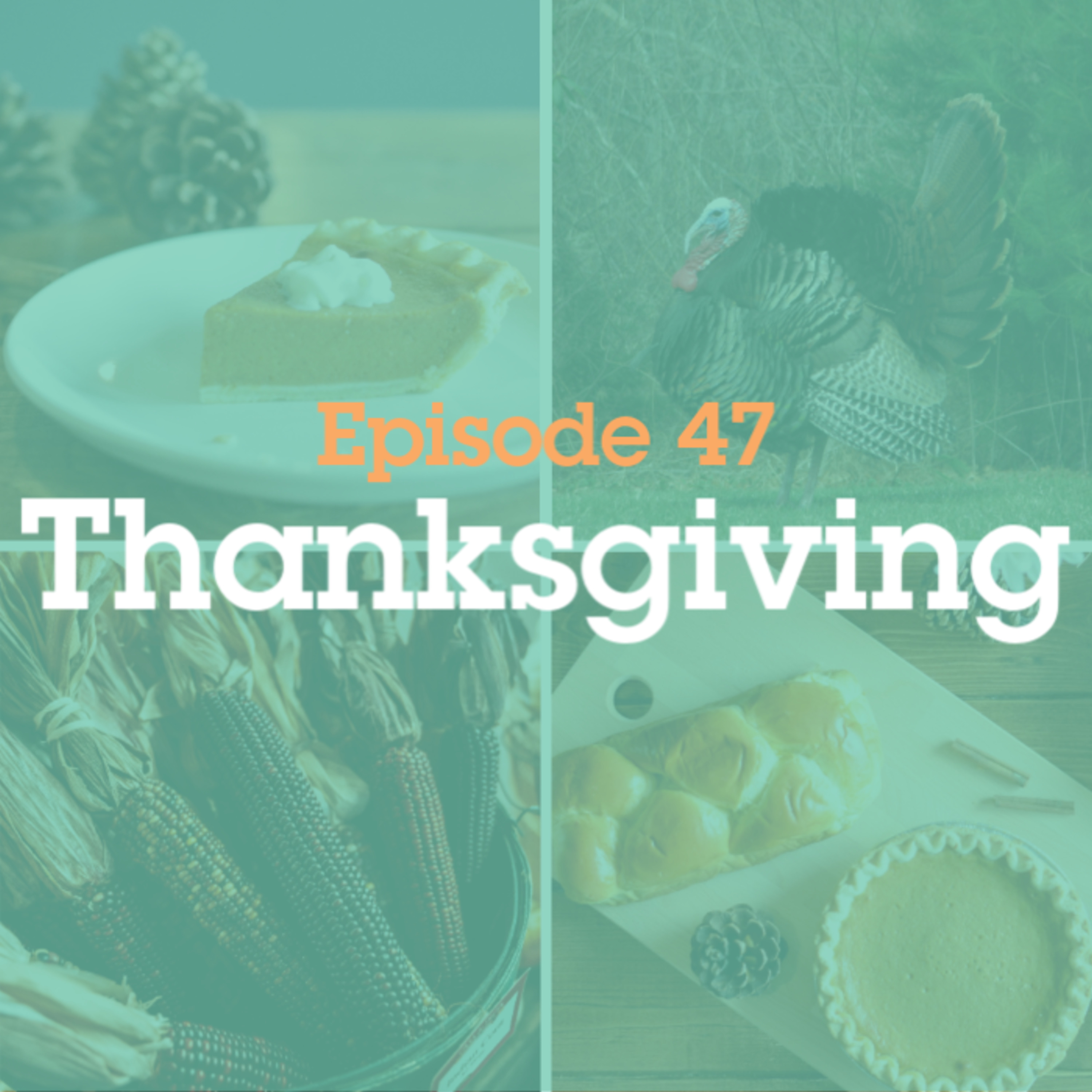 Episode 47: Thanksgiving episode artwork