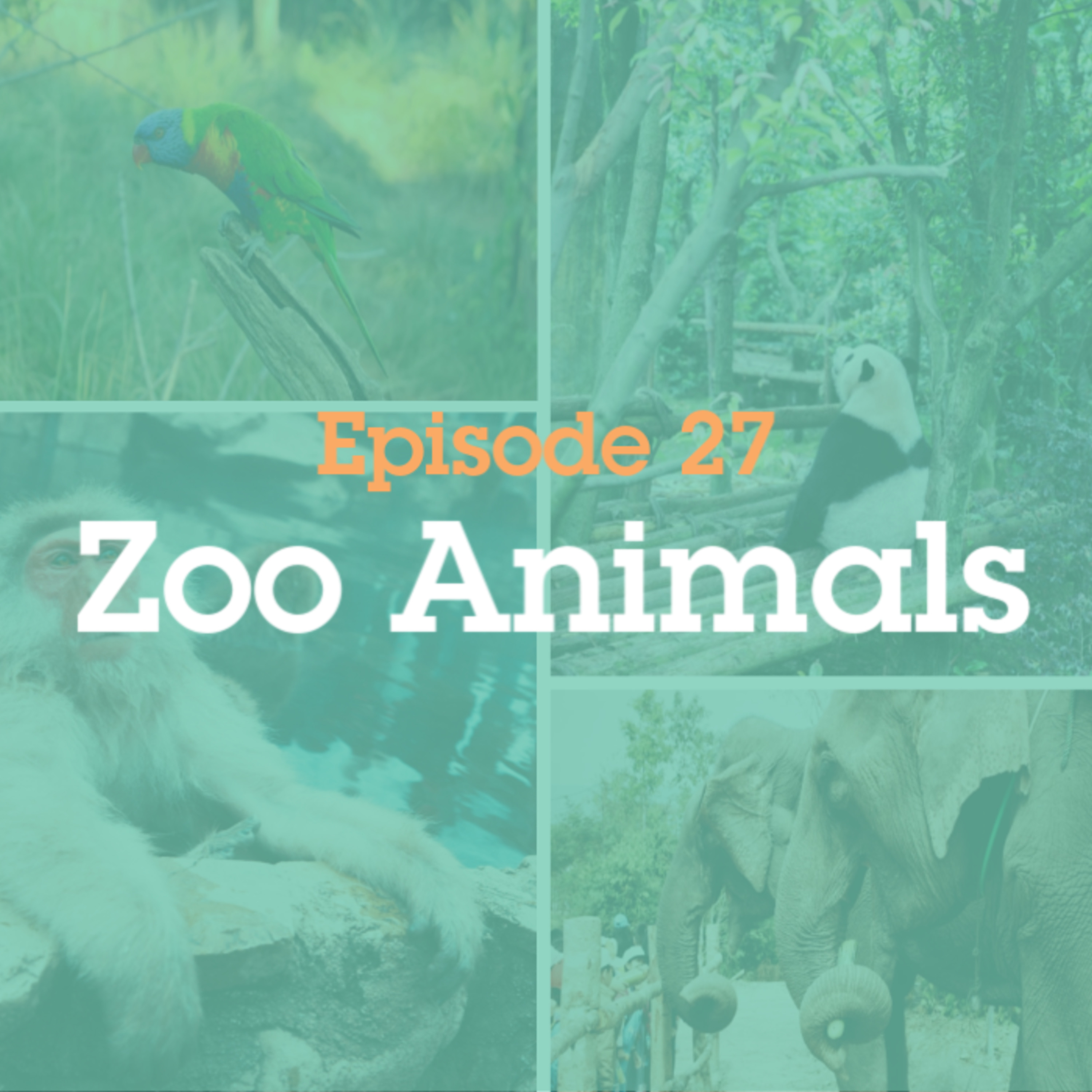 Episode 27: Zoo Animals episode artwork