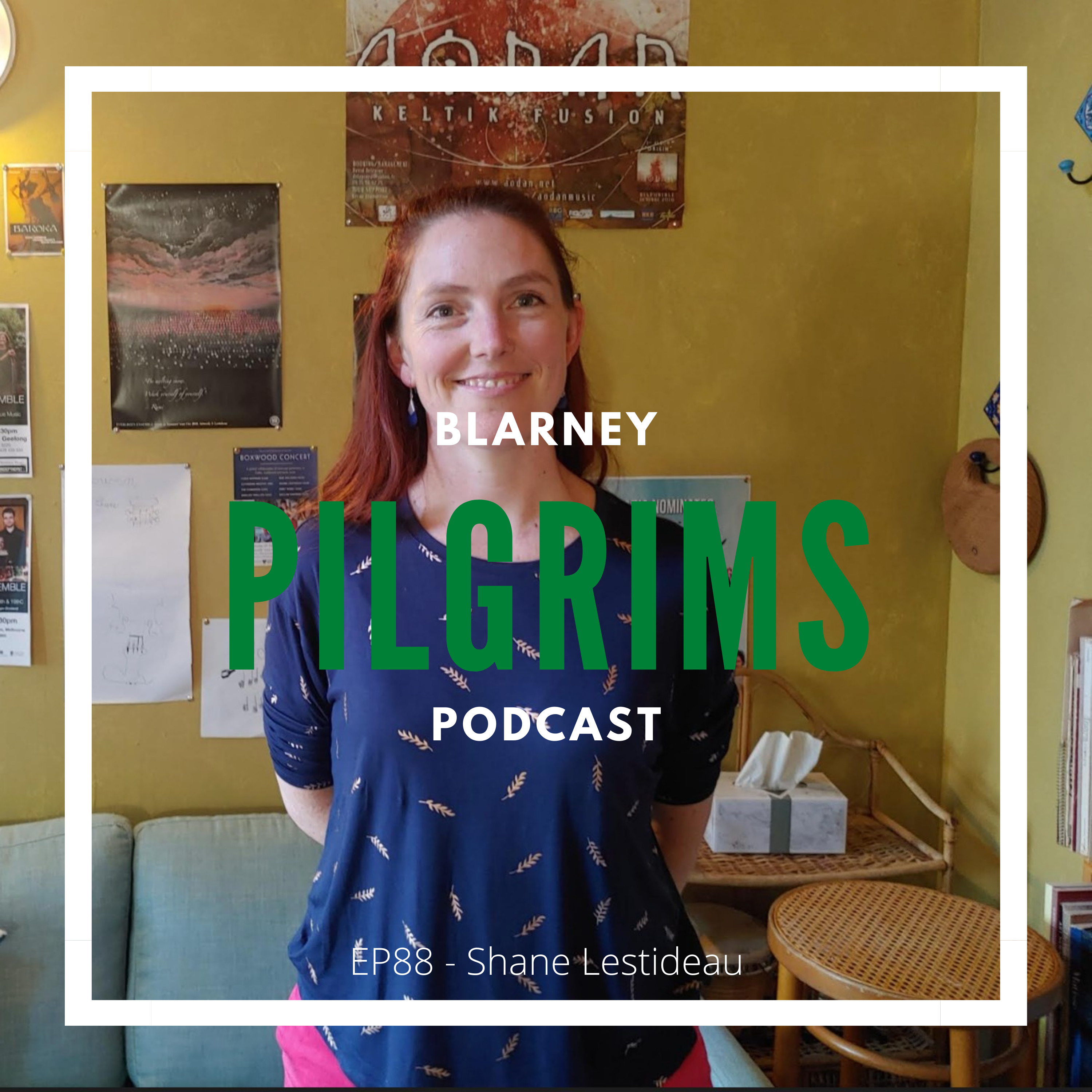 Episode 88: Shane Lestideau Interview (Fiddle, baroque violin, violin d'amore) episode artwork