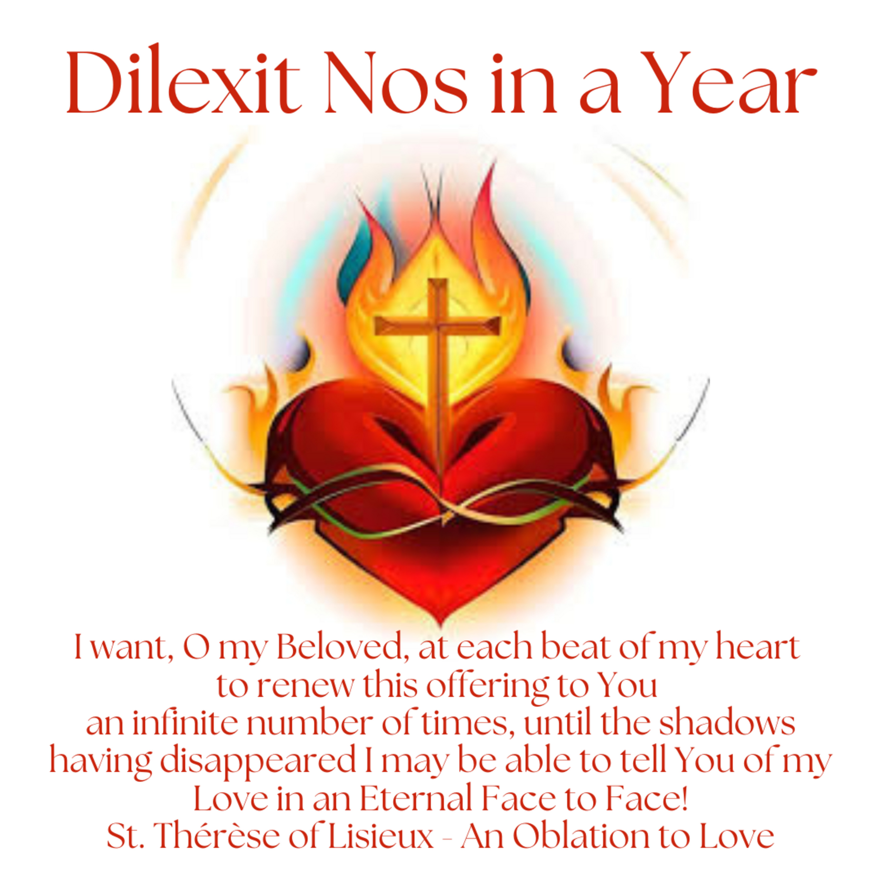 Episode 100: Dilexit Nos in a Year - Session 44 -An Oblation to Love episode artwork
