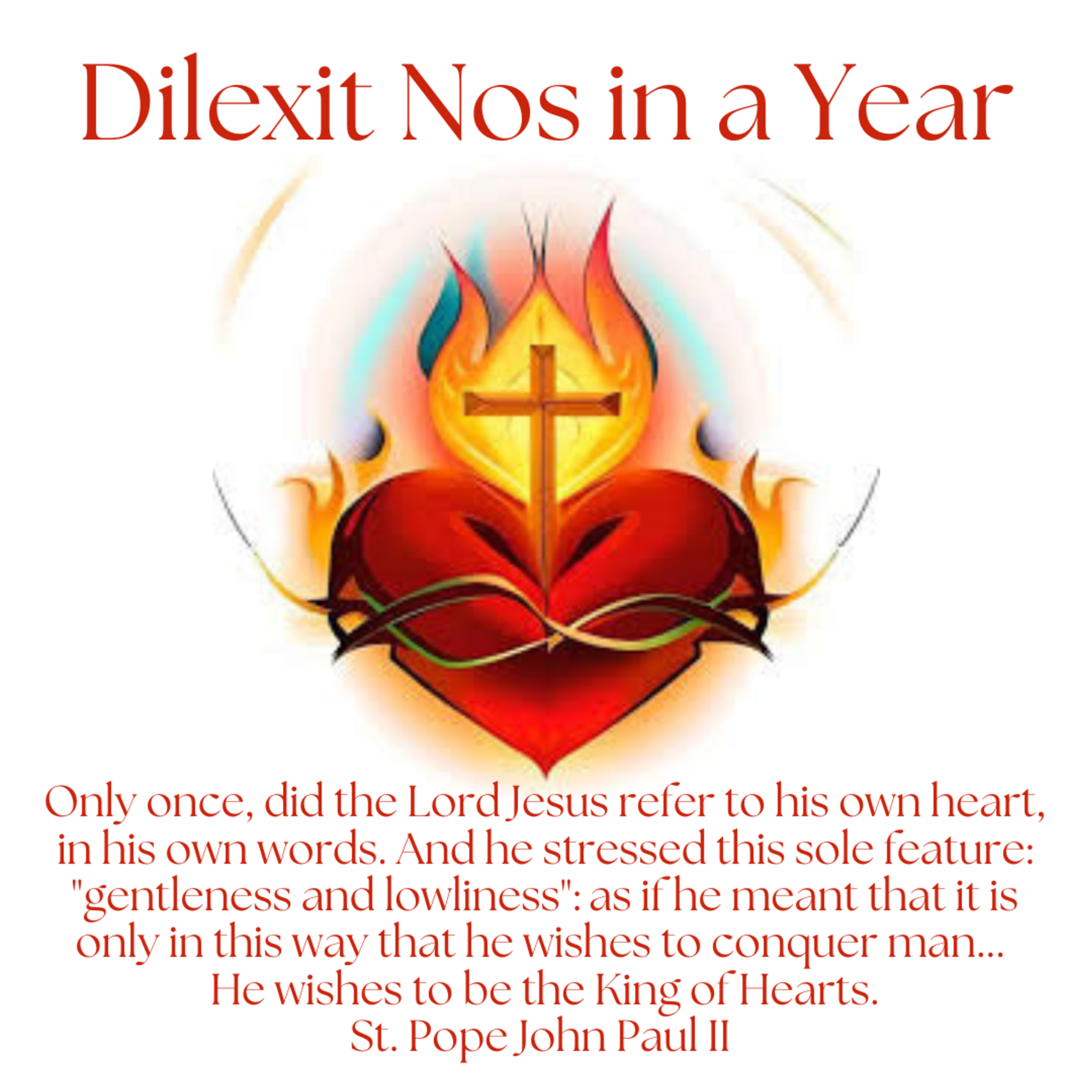 Episode 101: Dilexit Nos in a Year - Session 45 - Integrity and Harmony episode artwork