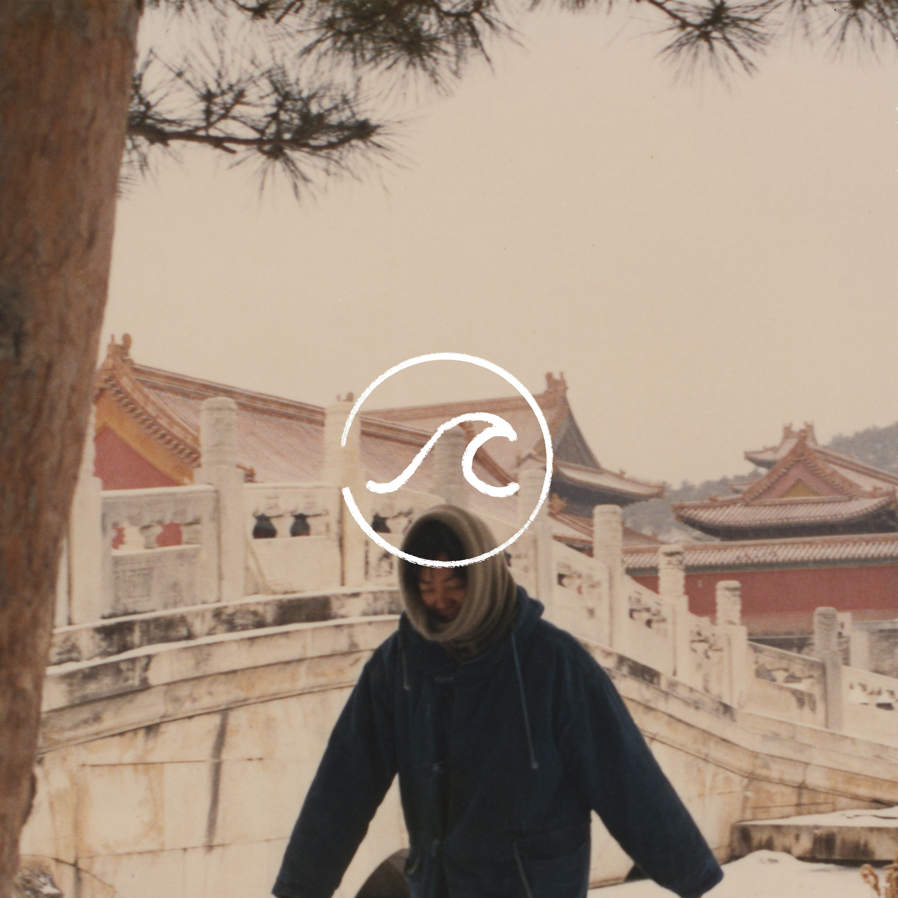 cover of episode 【随机波动071】念山河如故土，看香港似往昔