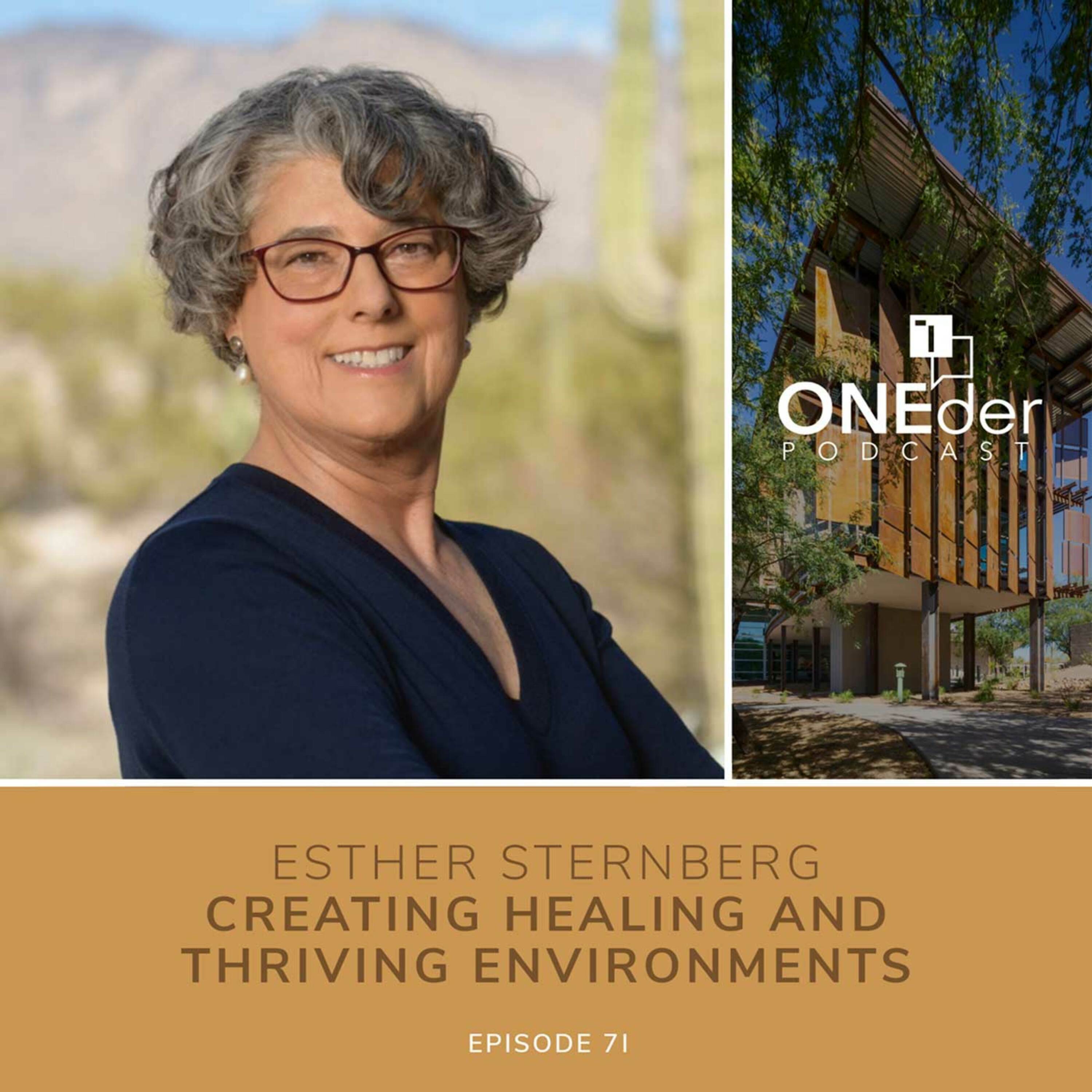 Creating Healing and Thriving Environments episode artwork