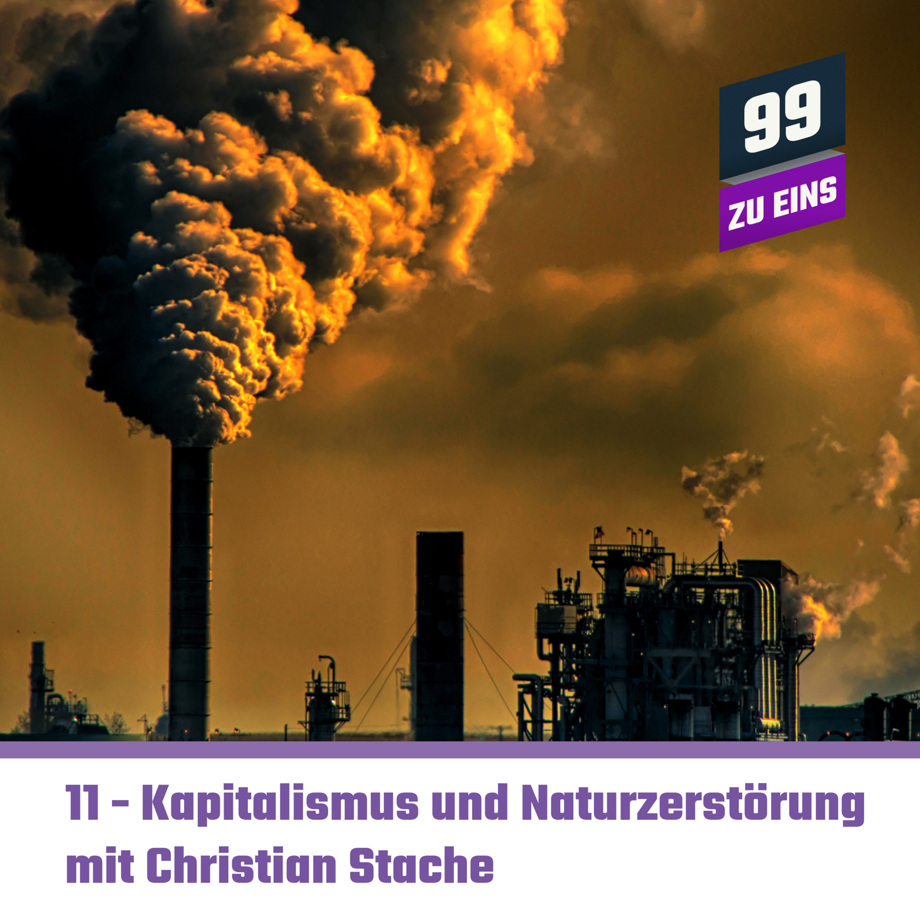 Episode 76: [DOPPELPACK]  Kapitalismus und Naturzerstörung mit Christian Stache