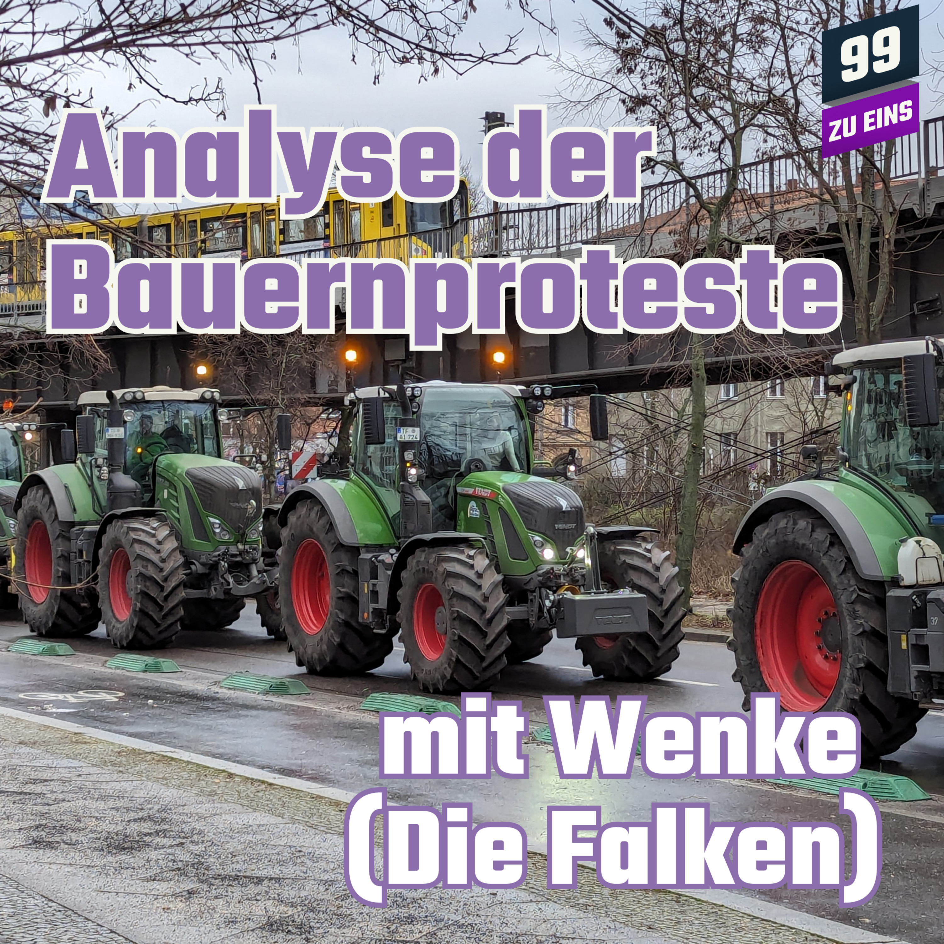 Episode 344: Ep. 344 Analyse der Bauernproteste mit Wenke (DIE FALKEN)