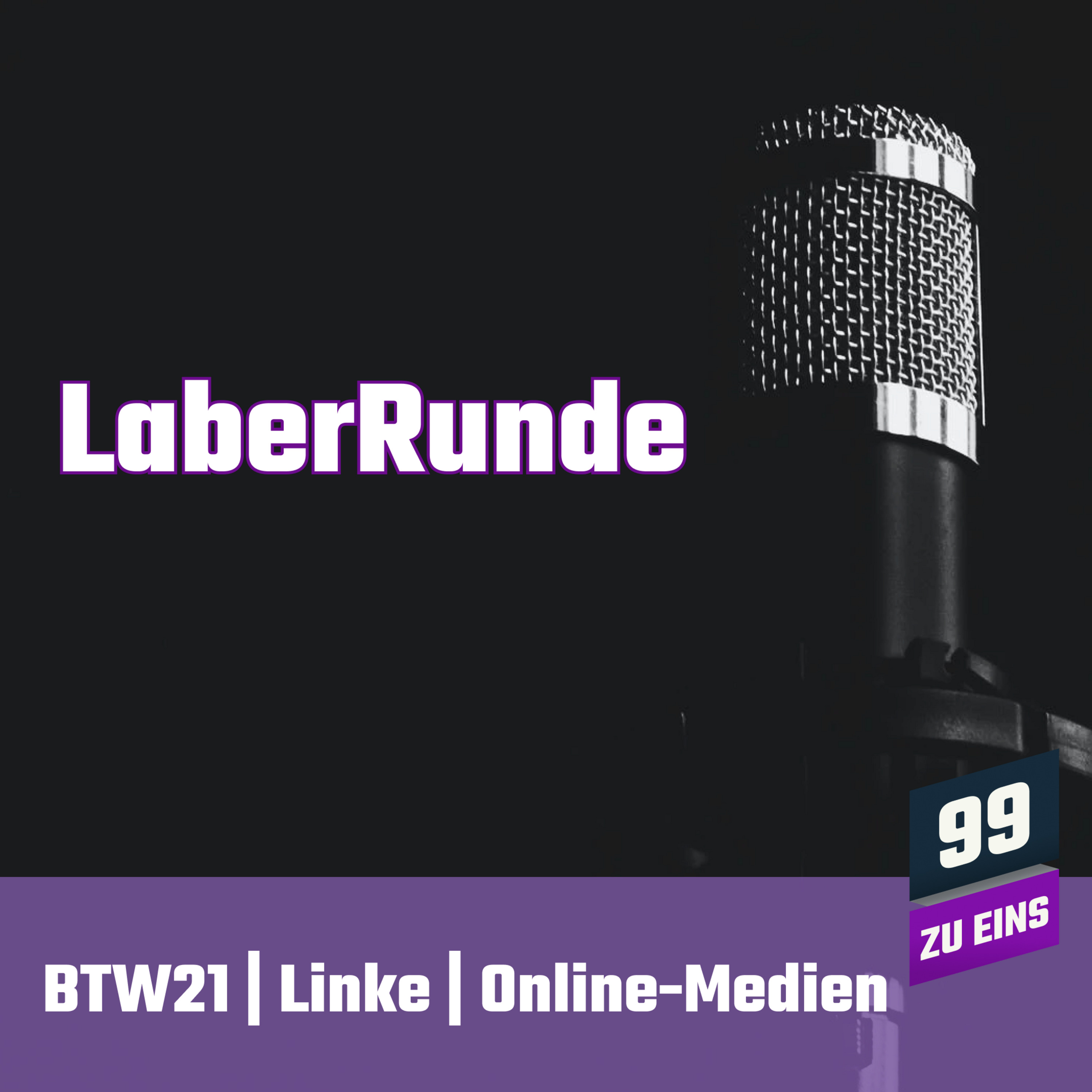 Episode 58: LaberRunde BTW21 | Linke | Online-Medien mit Erwin von Proletopia