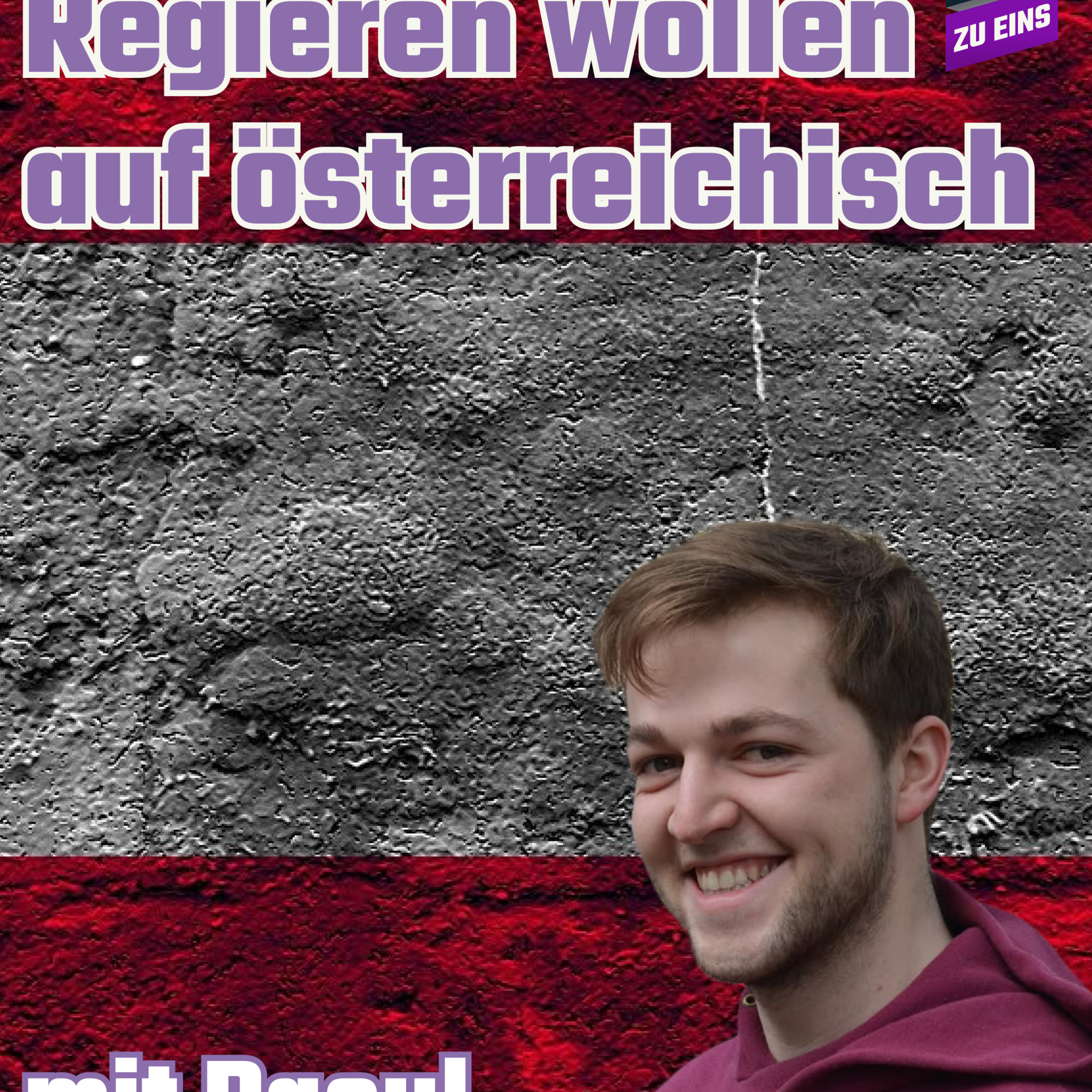 Regieren wollen auf österreichisch 99 ZU EINS - Donauwalzer