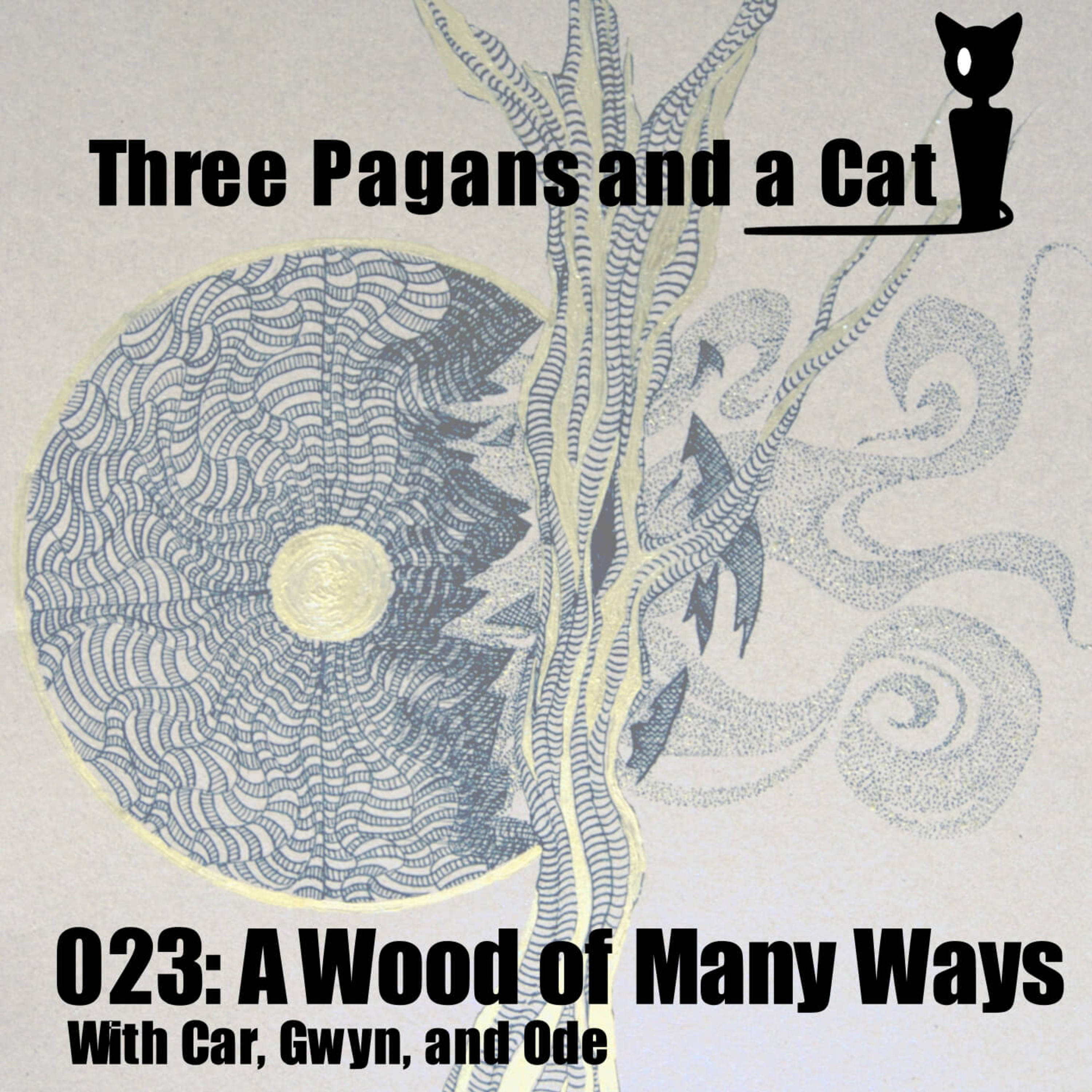 3 Pagans and a Cat