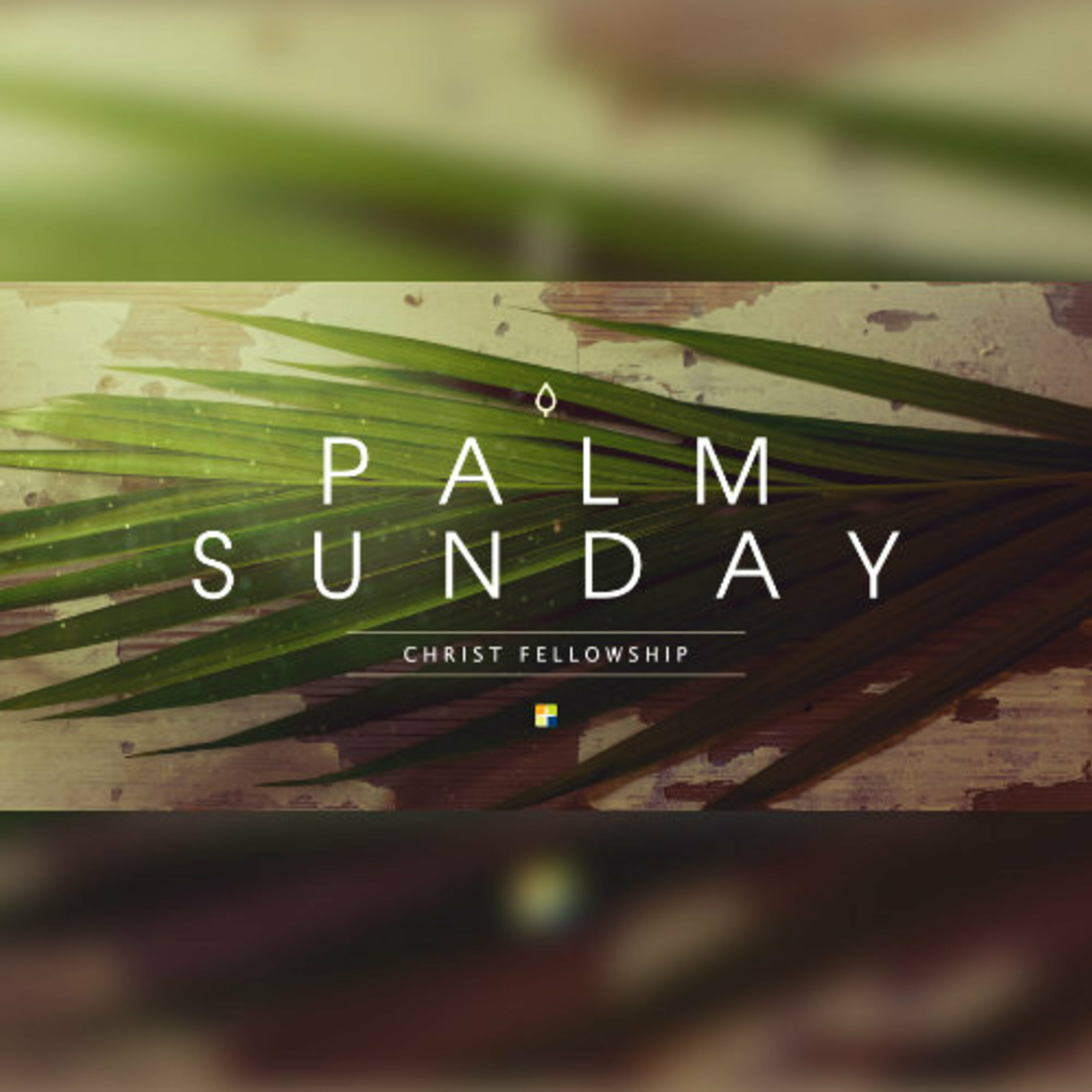 CF of Elizabeth Sunday Teachings