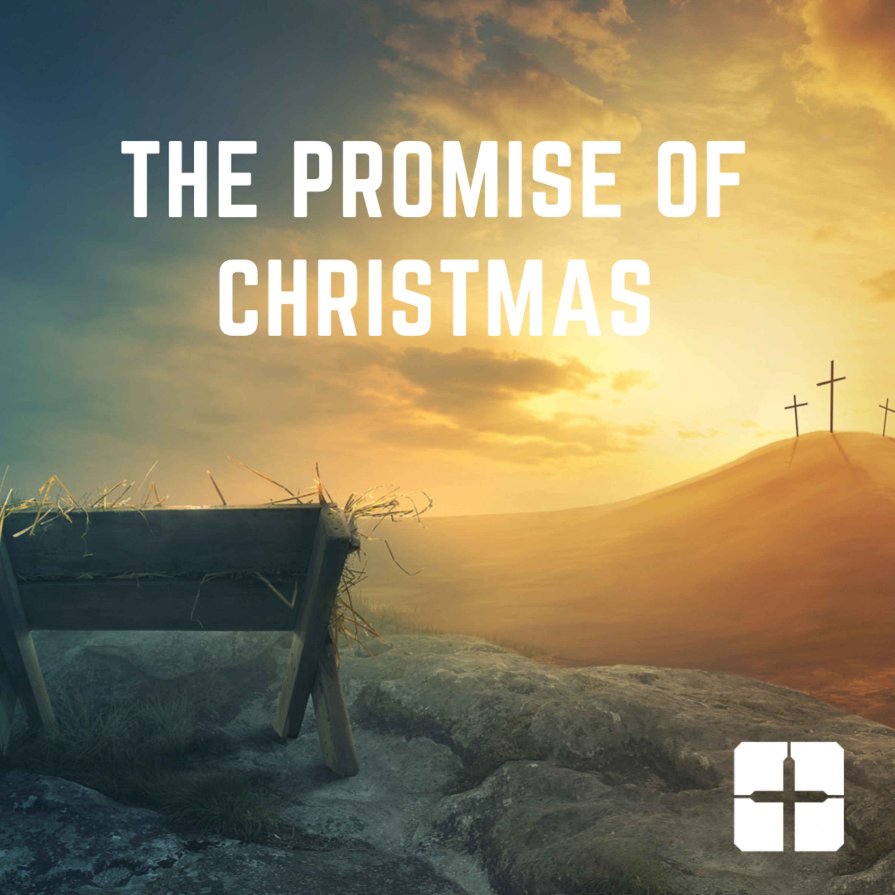 CF of Elizabeth Sunday Teachings
