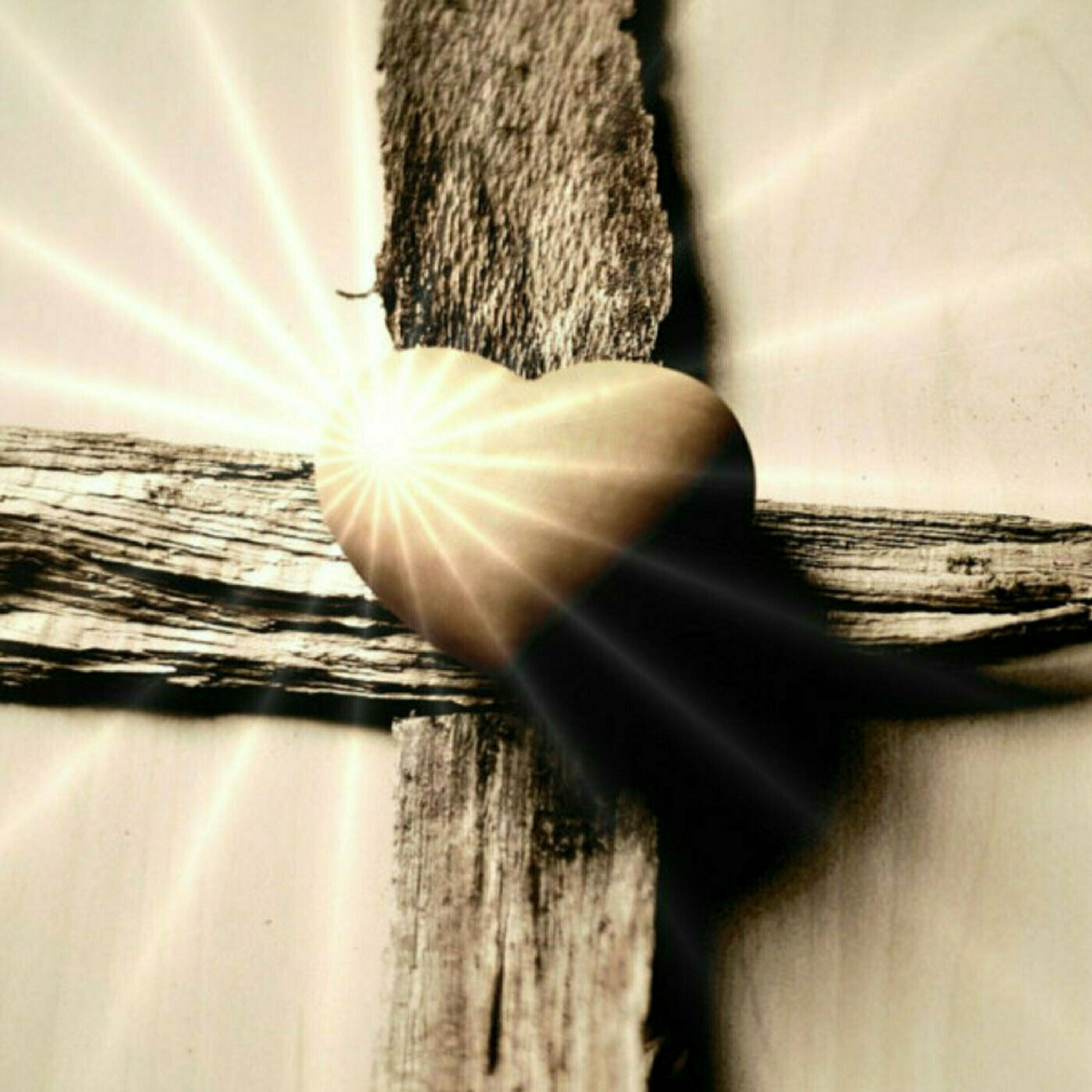 CF of Elizabeth Sunday Teachings